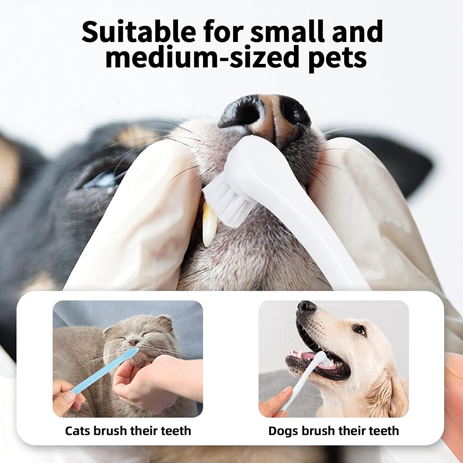 CAVLA Pack Small dog Toothbrushes Cat Toothbrushes Teeth