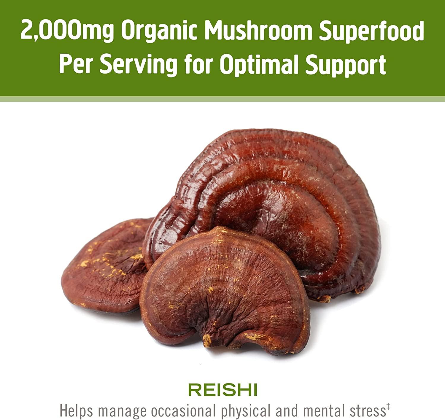 Om Mushroom Superfood Reishi Organic Mushroom Powder, 7.05 Ounce, 100