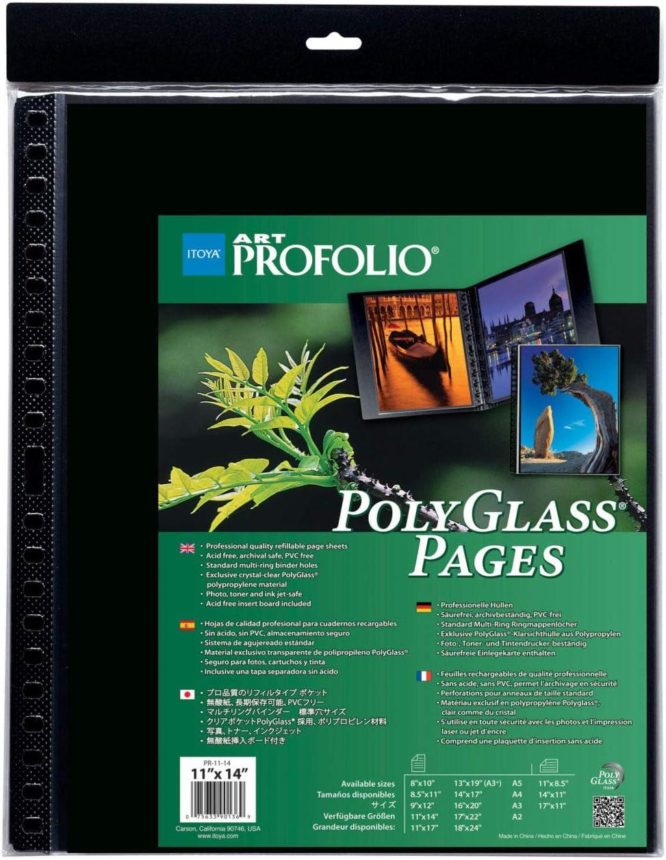 ProFolio by Itoya, Art ProFolio PolyGlass, 10Pack MultiRing Binder