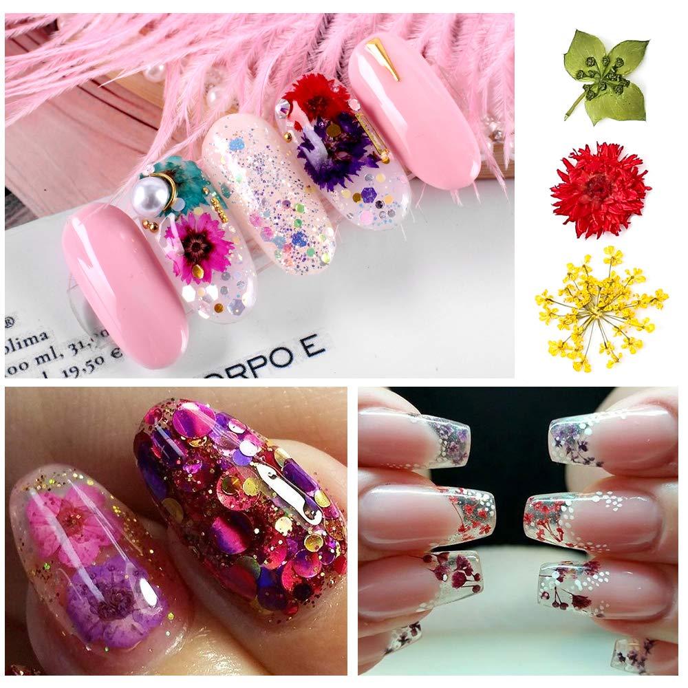 IVELECT Real Dried Flower 3D Nail Art Jewelry Decor DIY Tips Manicure  Design L : Amazon.in: Beauty