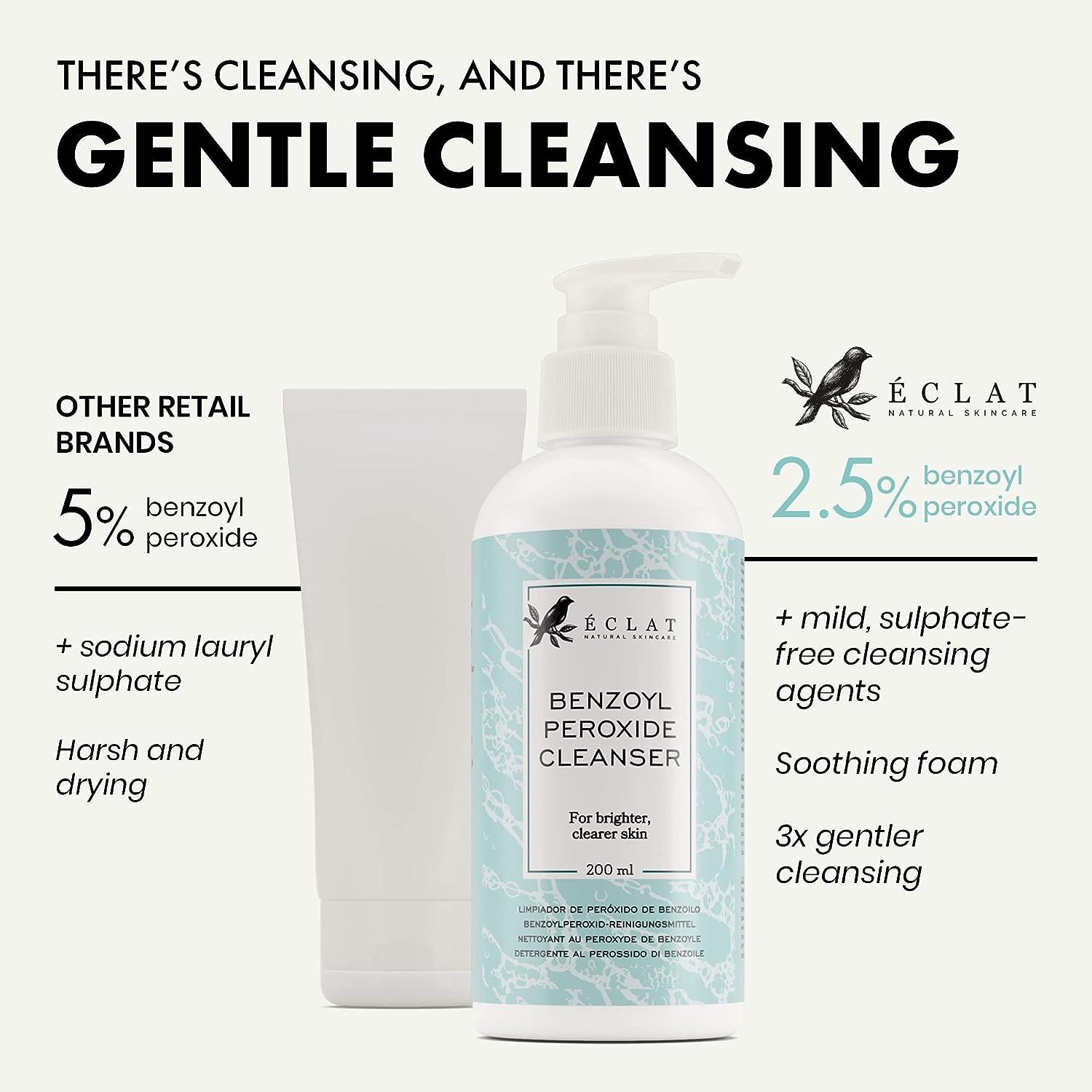 BIMORE Skin Care Cleaner ×2 gyeon-bug-and-grime-remover-