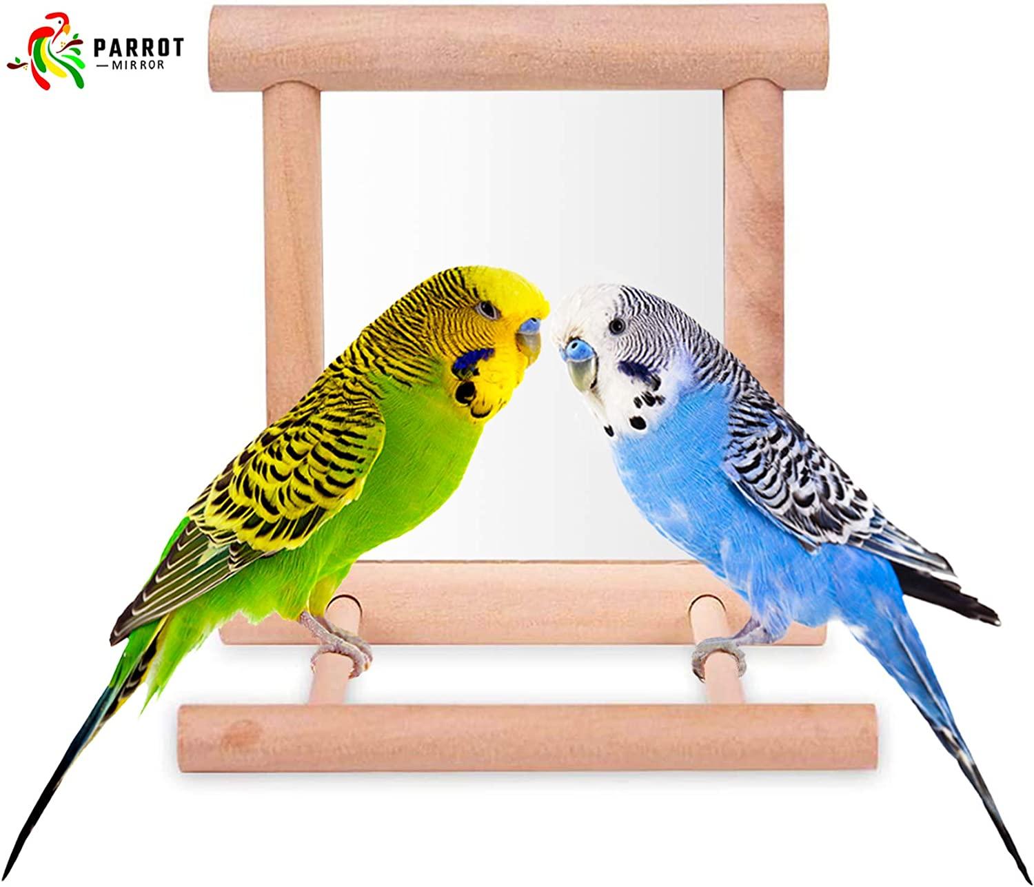Blessed family Bird Parakeet Mirror for Cage,Parrot Perch Stand,Wooden