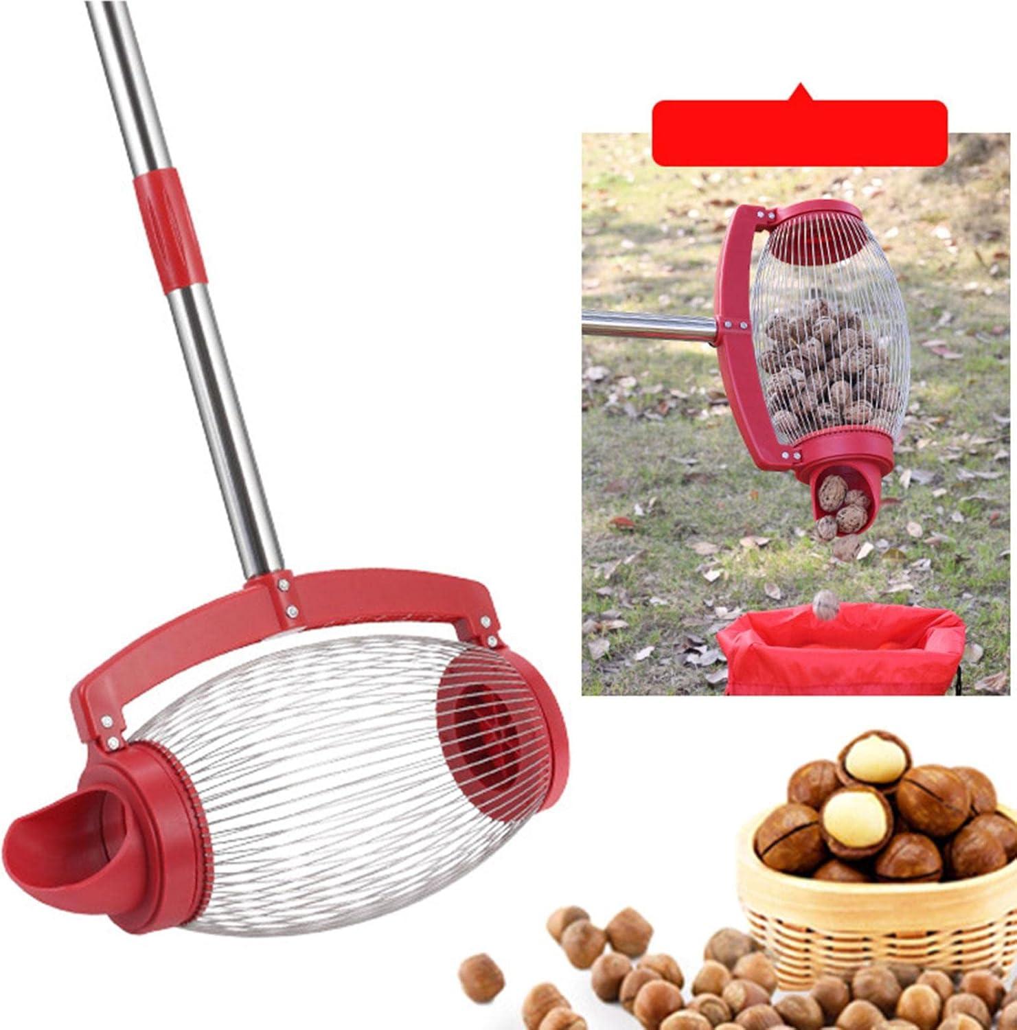 Nusssammler Mit Teleskopstange 70-127cm - Walnuss & Haselnuss Sammler Ohne Bücken