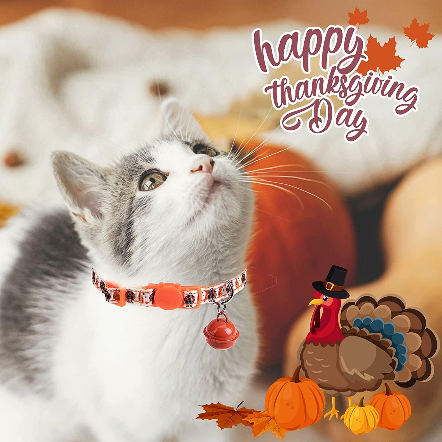 DILLYBUD Holiday Cat Collar Breakaway 3 Pack Thanksgiving Christmas Safety Buckle Collars with Bell for Cats Kittens Adjustable Holiday Theme Collars Pack of 2