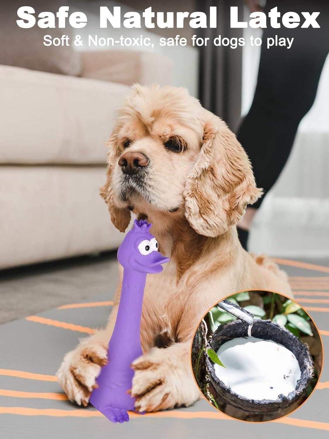 SCHITEC Squeaky Dog Toys 2 Pack Squawking Latex Toy with Interactive  Squeaker Squeak Rubber Duck Chicken for Medium Small Dogs Animal Print |  Buy Now with Express International Delivery | GoSupps.com