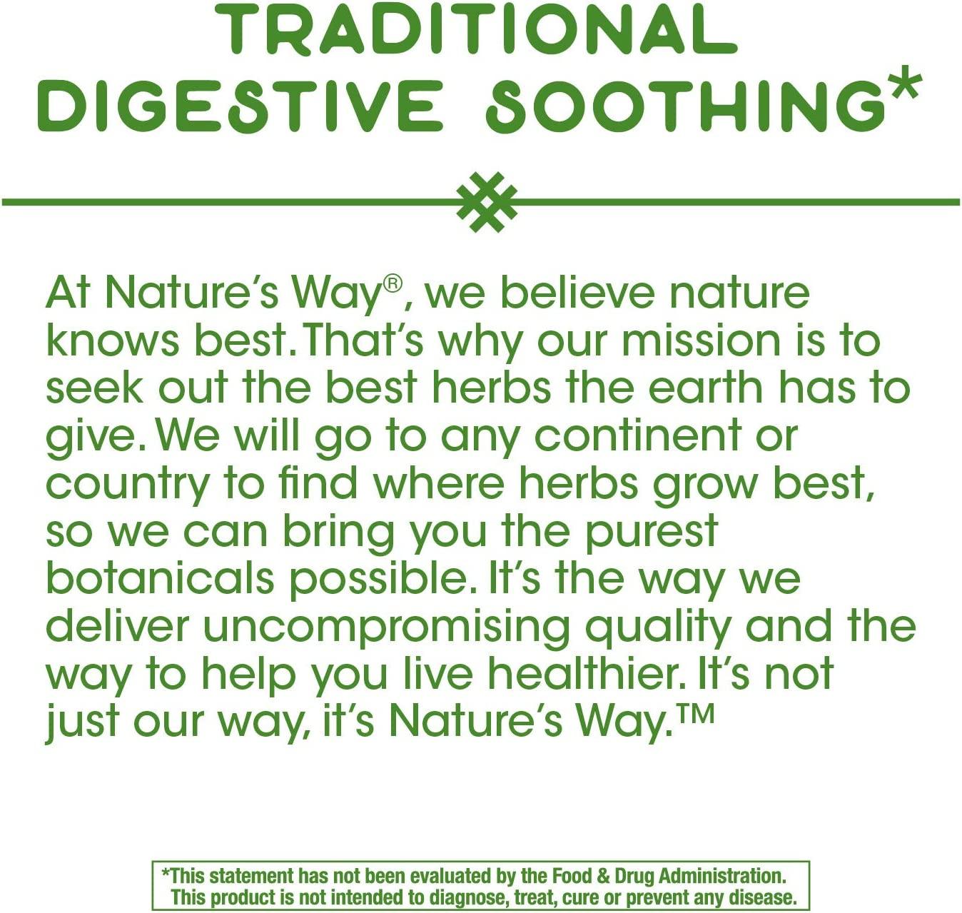 Nature's Way Peppermint Leaf 700 mg 100 Vegan Capsules