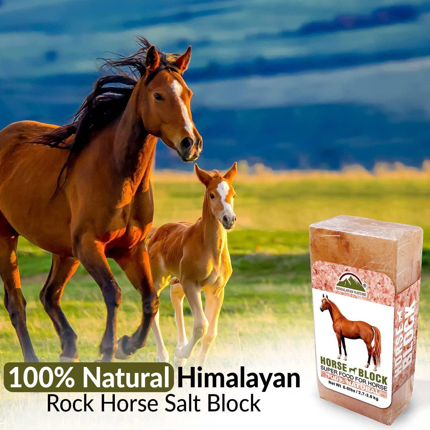 Himalayan Nature Licking Salt for Horse 2 Pack, Pink Pack of 2