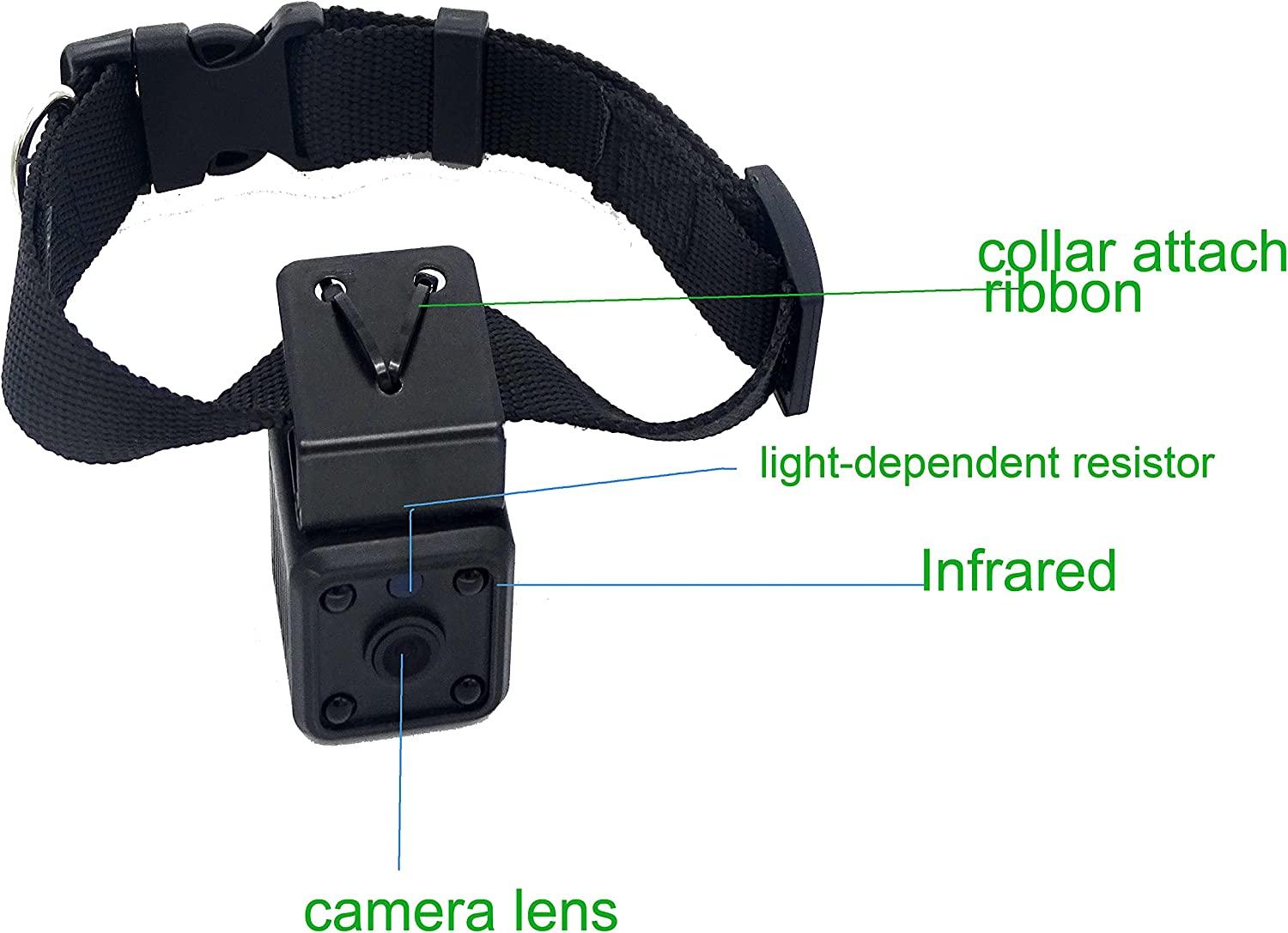 32GB Digital Pet Collar Dog Cam DVR Video Recorder with Monitor Black