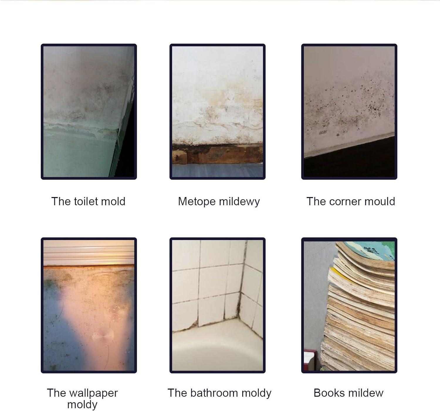 Cleaner Mould Foam Spray Mould Removal Foam Spray Mould and Mildew Removal Spray Mould Cleaner ...