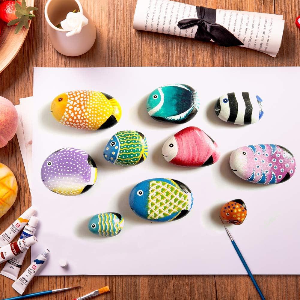 Lifetop 20PCS Painting Rocks, 3-4 DIY Rocks Flat & Smooth Kindness Rocks  for Arts, Crafts, Decoration, Large Rocks for Painting,Hand Picked for