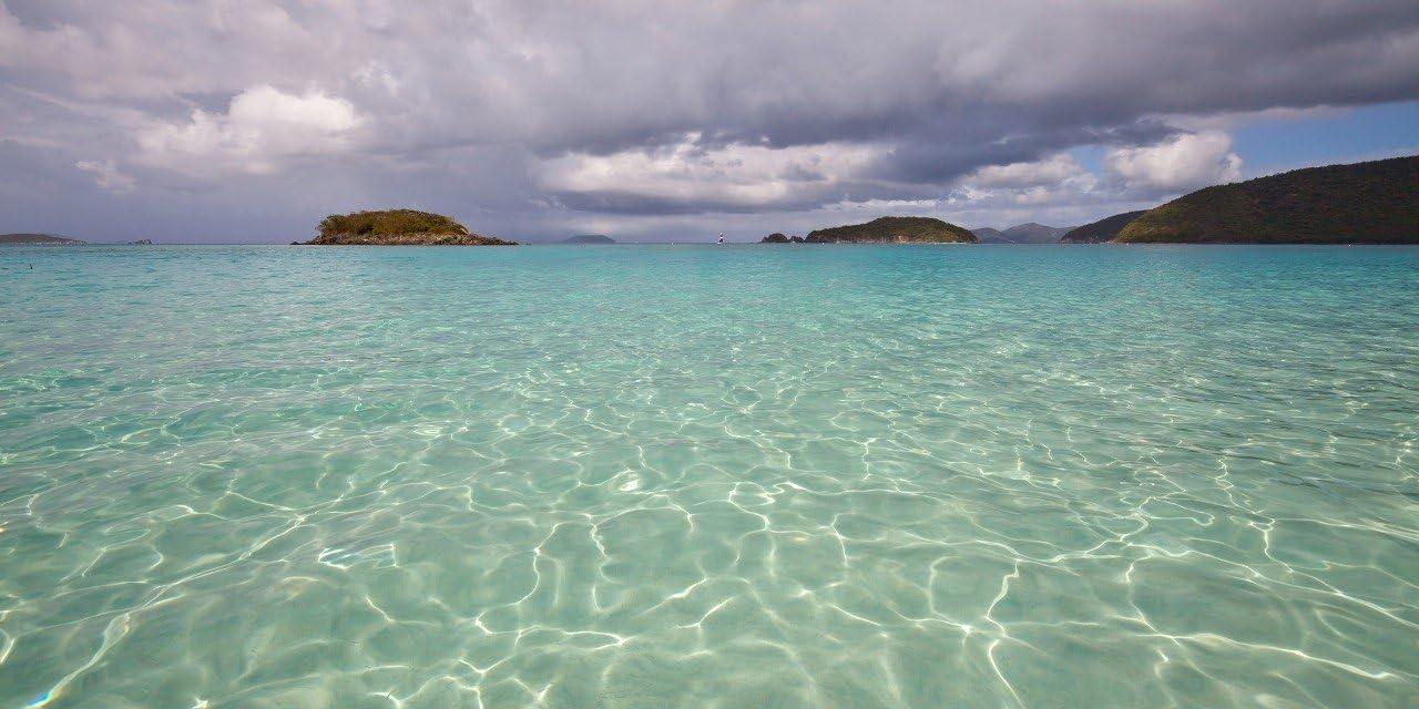 ZEISS T* UV Filter 49mm | Park Cameras - View #3