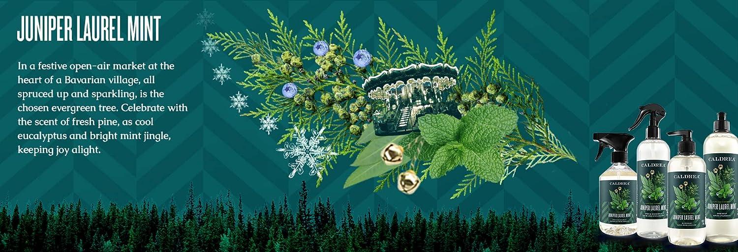 Juniper Laurel Mint Limited Edition Dish Soap - Thumbnail 4