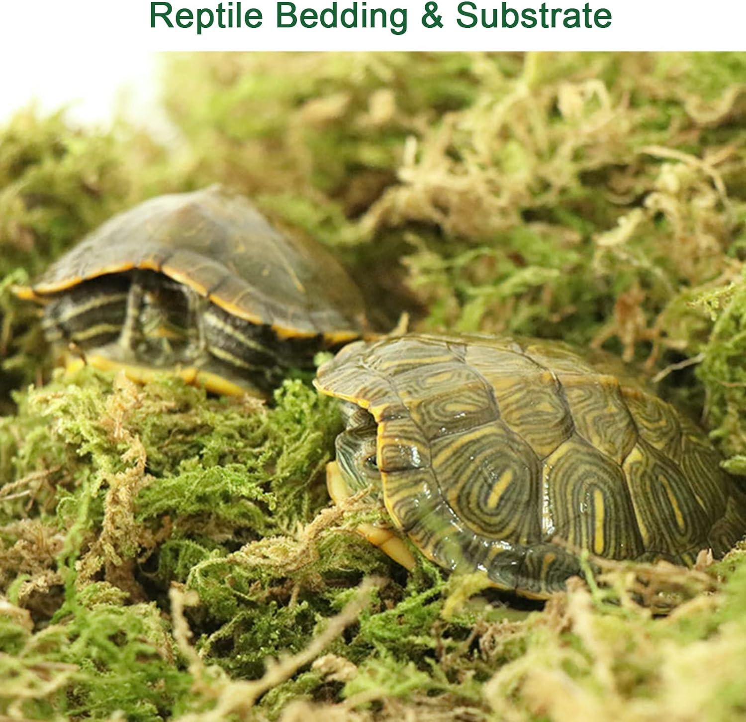 Natural Sphagnum Moss For Reptiles - 175g Bag, Humidity Retaining Substrate For Snakes, Turtles & Terrariums