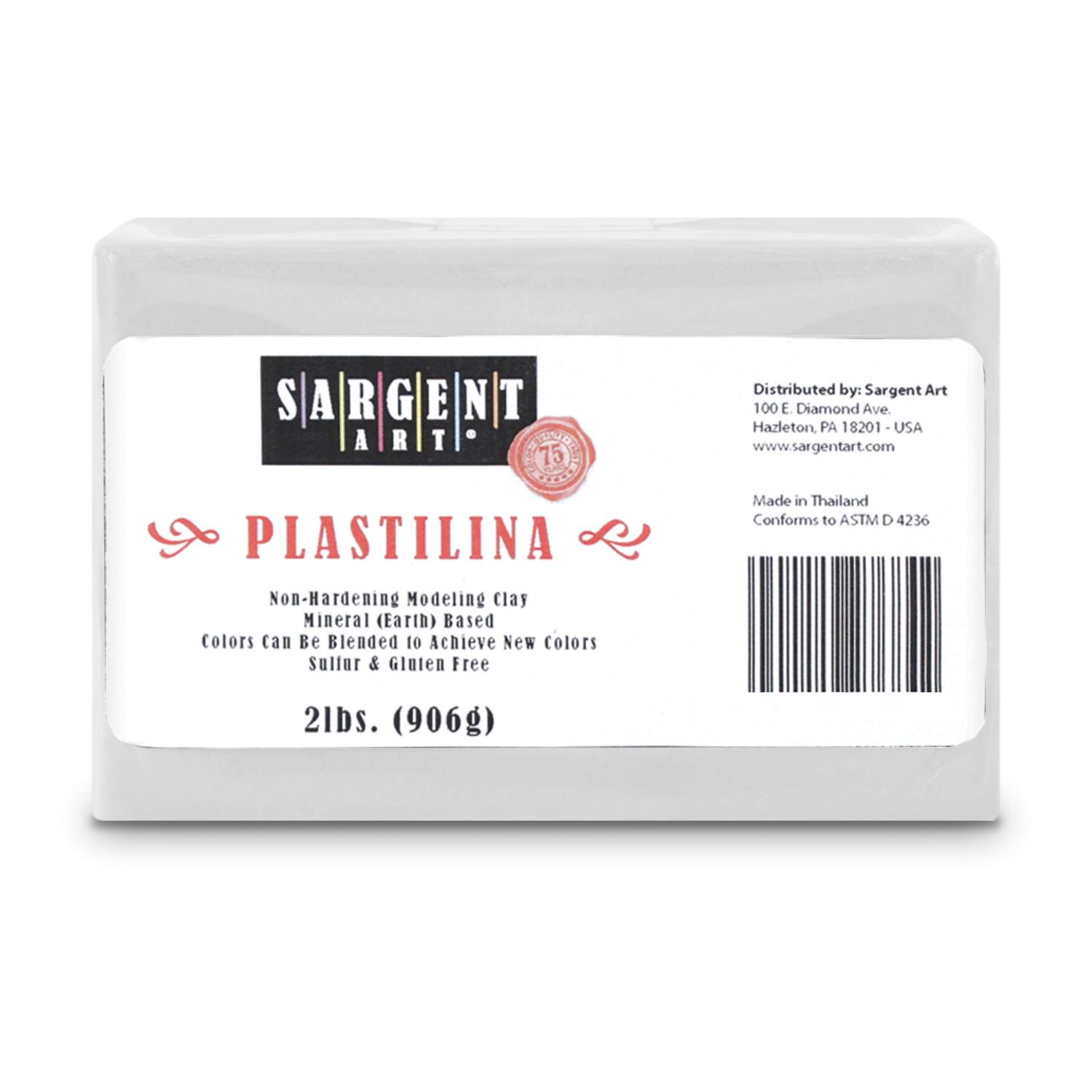 Sargent Art Plastilina Modeling Clay White 2 Pound Non-Hardening Long  Lasting & Non-Toxic Great for Kids Beginners and Artists