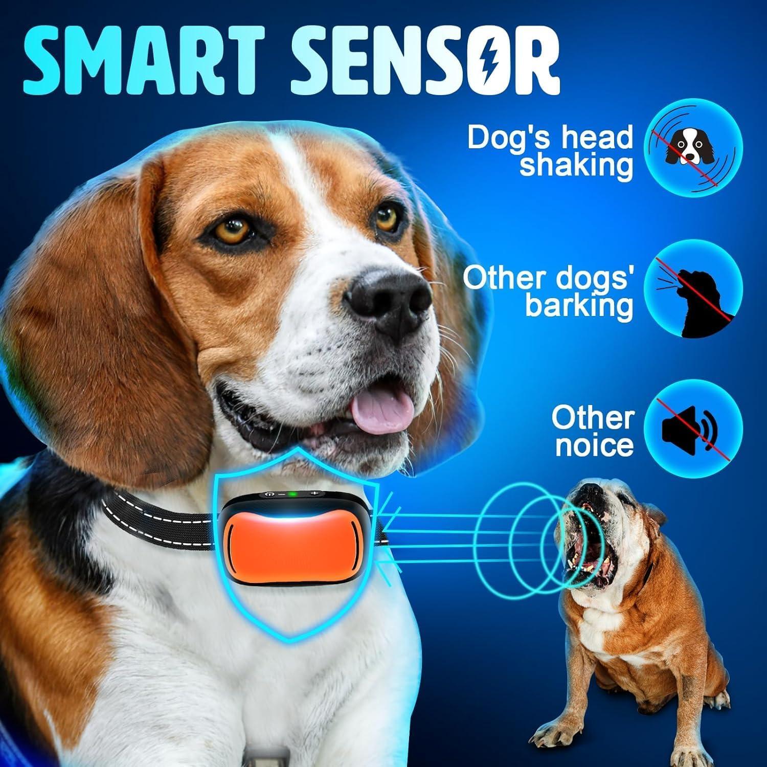 Beagle Harness Training Collar Best Bark Collar For Beagle Anti