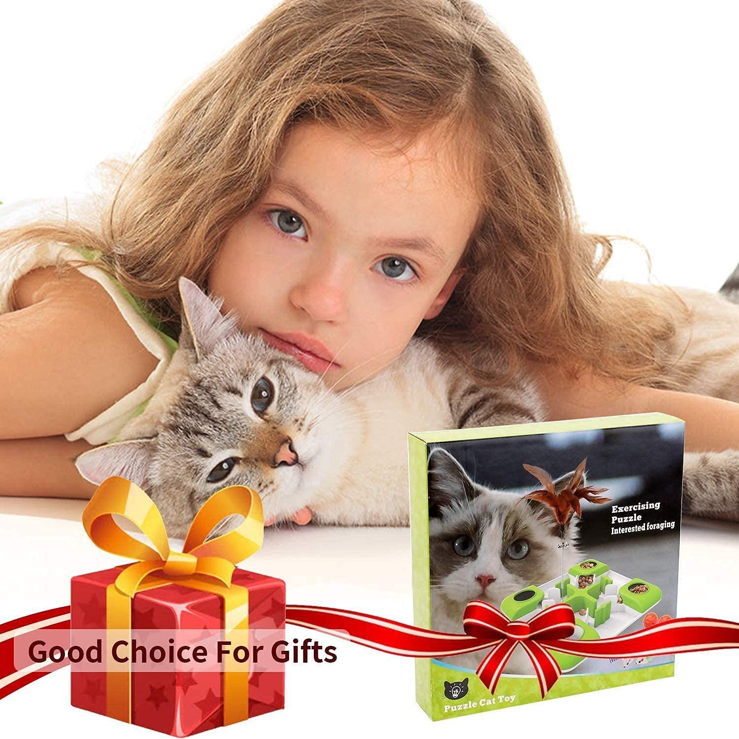 Interactive Cat Iq Toy Puzzle Feeder Pet Food Dispenser Kitten Training