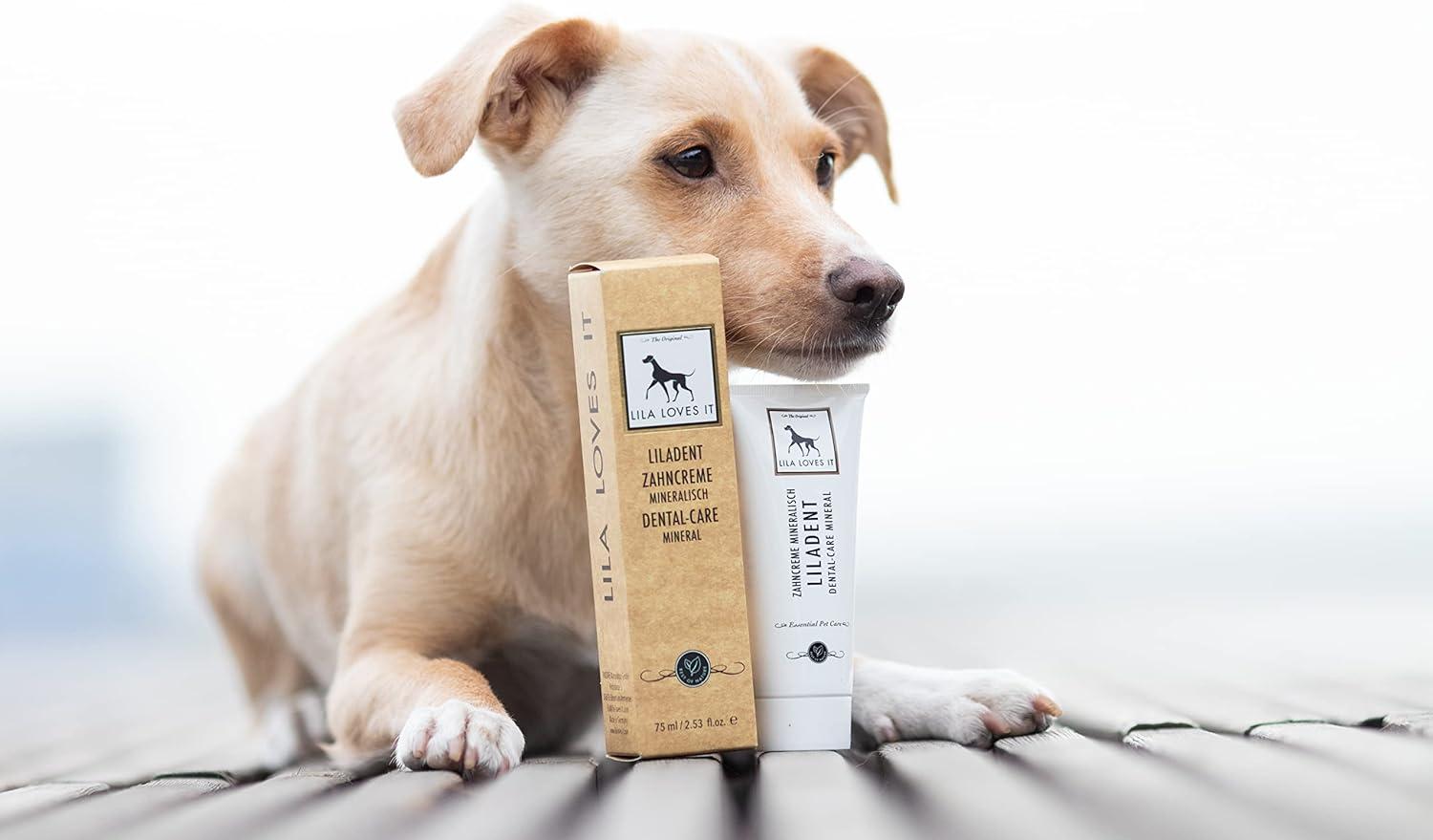 Natural Dog Toothpaste with Coconut Oil Turmeric Papaya Gentle