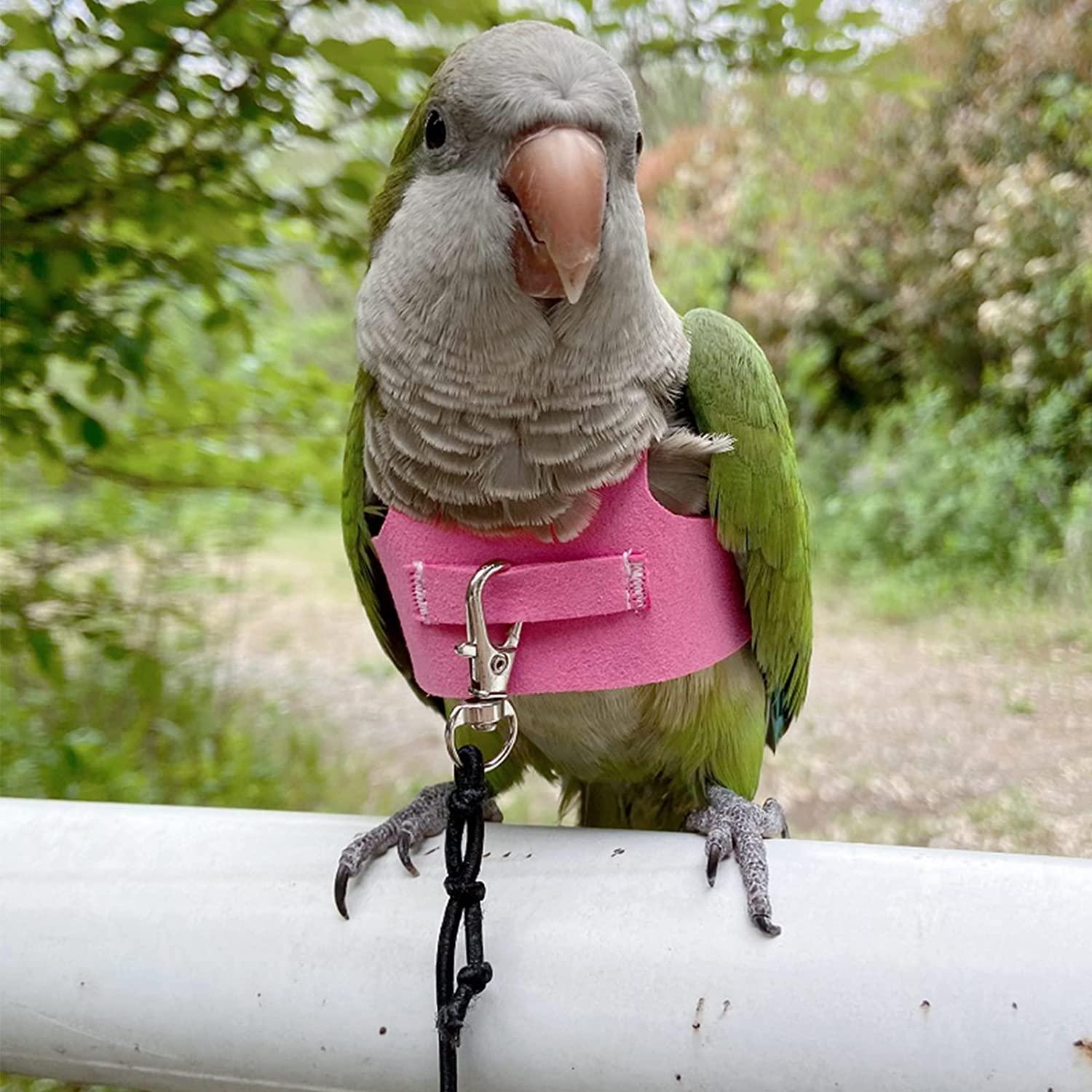 QBLEEV Medium Pink Bird Flight Harness Vest with Leash Parrot Flight Suit for Parakeets
