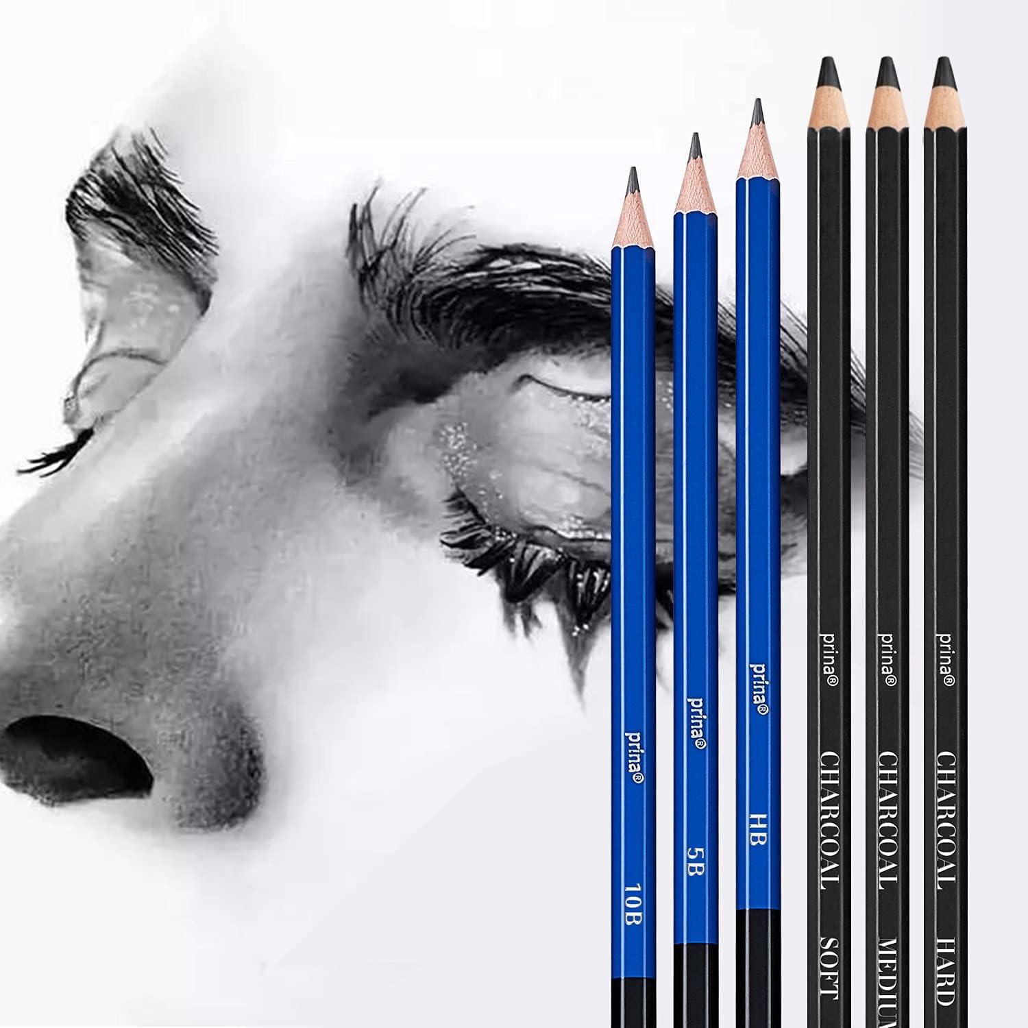 Art Supplies, Sketching & Drawing Pencils Art Kit with 2 Sketch Pads,  Professional Artists Drawing Supplies Set Includes Graphite, Charcoals,  Kneaded