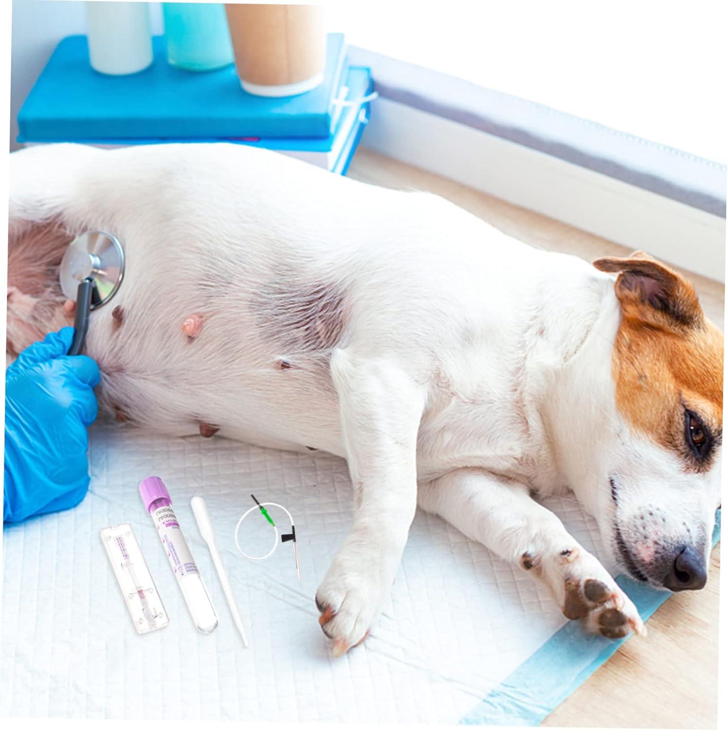 Dog Pregnancy Kit 1 Set Dog Early Pregnancy Test Strip Plastic Health