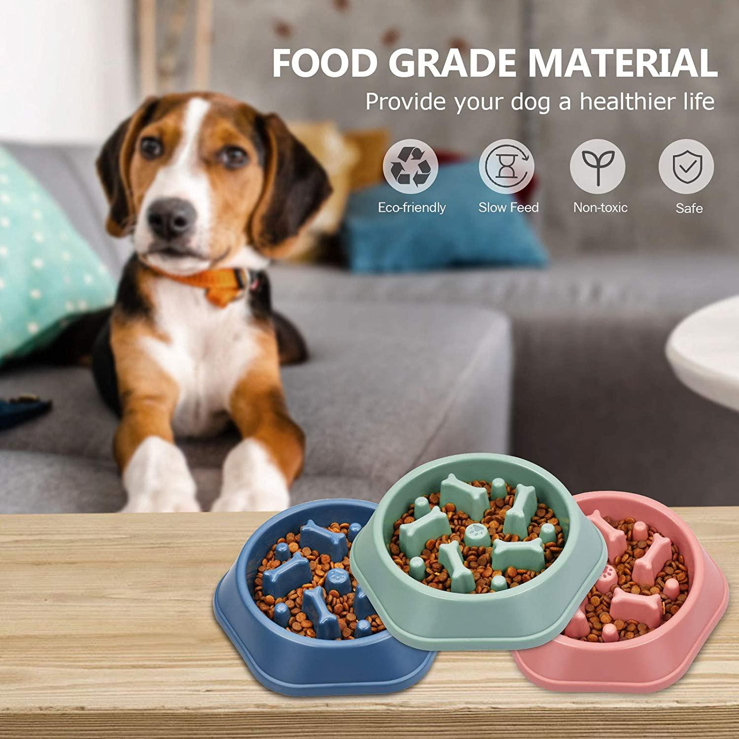 Upsky Slow Feeder Dog Bowl Review: Slows Down Dogs That Eat Too Fast