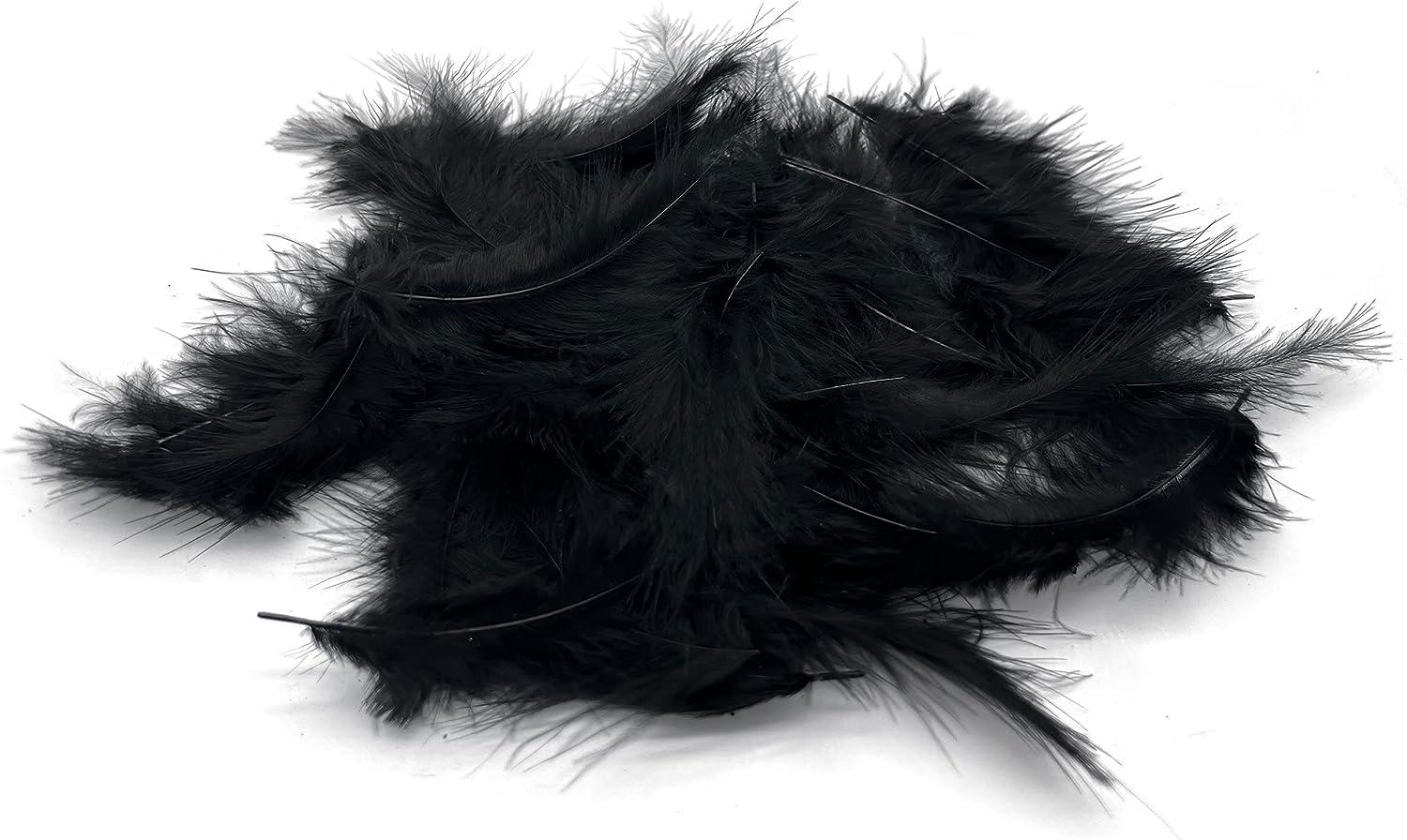 Black Feathers - Temu Philippines