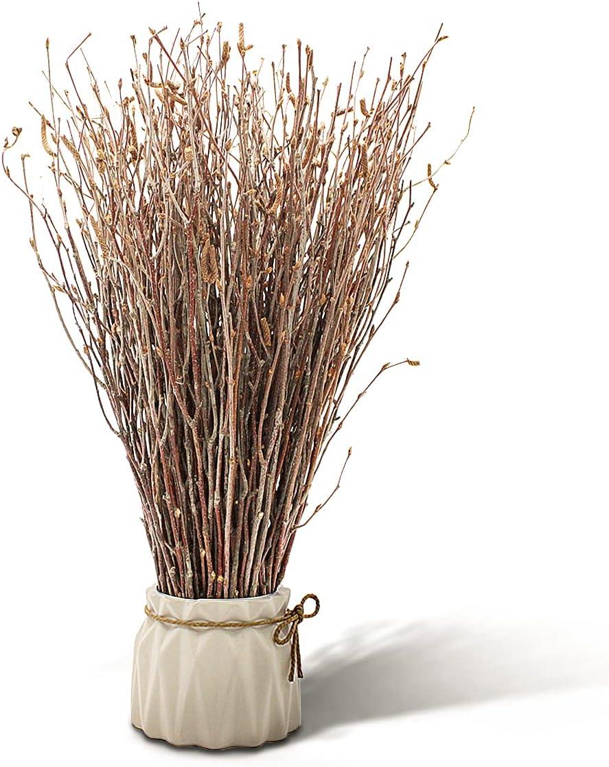 Uieke 100PCS Natural Dried Birch Twigs – 17 Inch Dried Plants Decorative  Birch Branches for DIY Crafts, Birch Sticks for Vases Wedding Arrangements