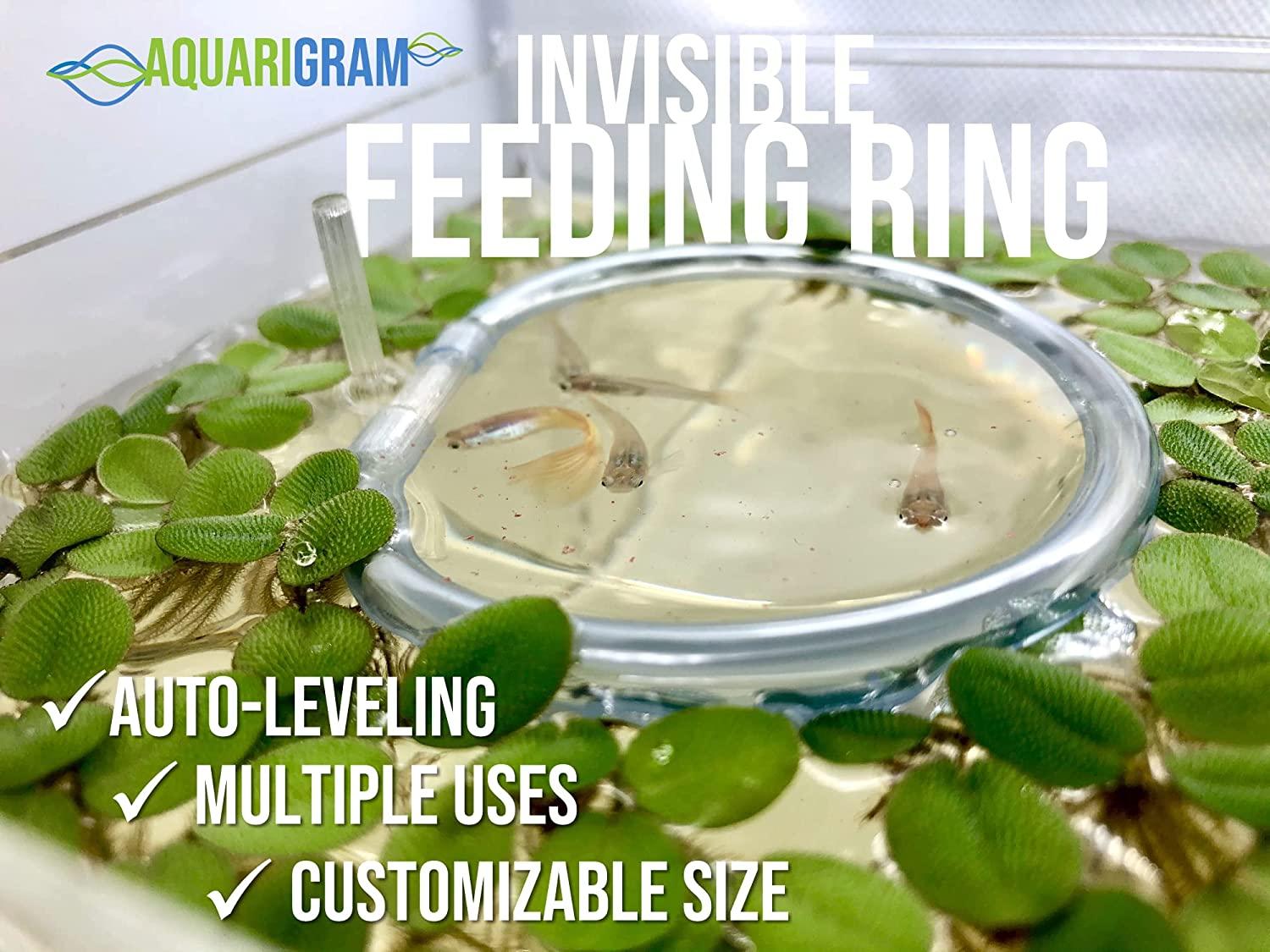 Invisible Feeding Ring (Customizable and Auto-Leveling) for Floating ...