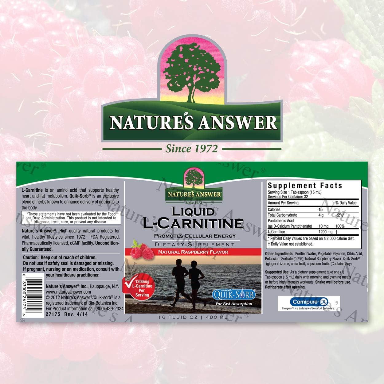 Nature's Answer Liquid L-Carnitine 1200 mg Raspberry Flavor - Cellular  Energy Supplement 16 Fl Oz (Pack of 1) | Shop Internationally | Buy Now  with Express International Delivery | GoSupps.com