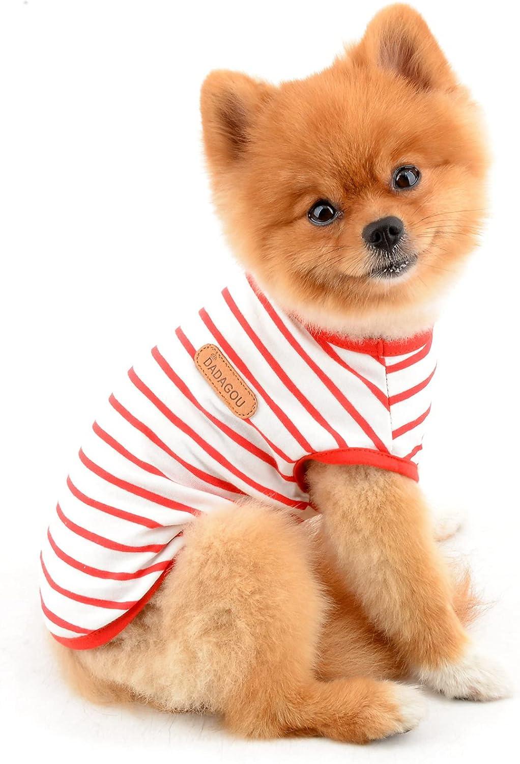 SMALLLEE_LUCKY_STORE