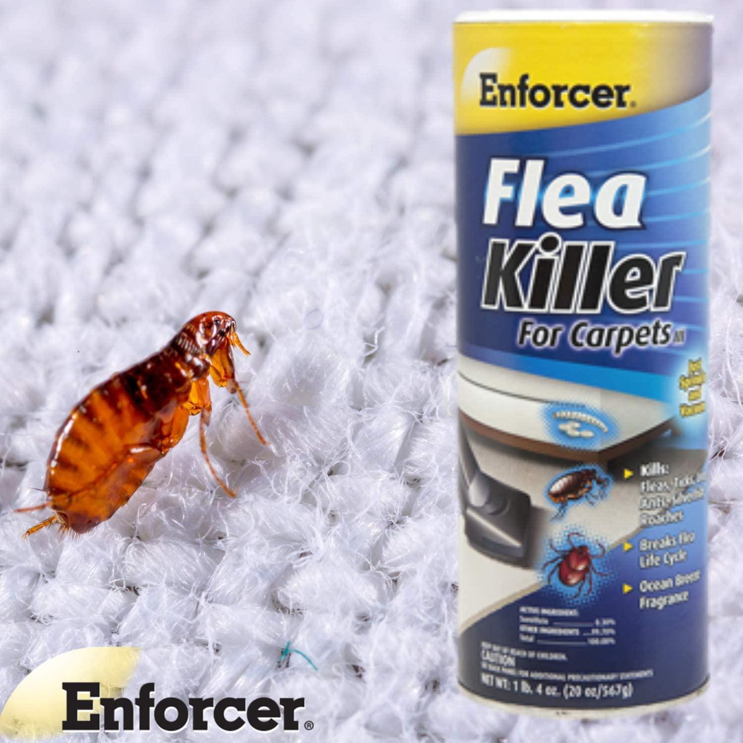 Enforcer Flea Killer for Carpets 20 Ounce (Pack of 2) EFKOB203 Breaks the Flea Life Cycle