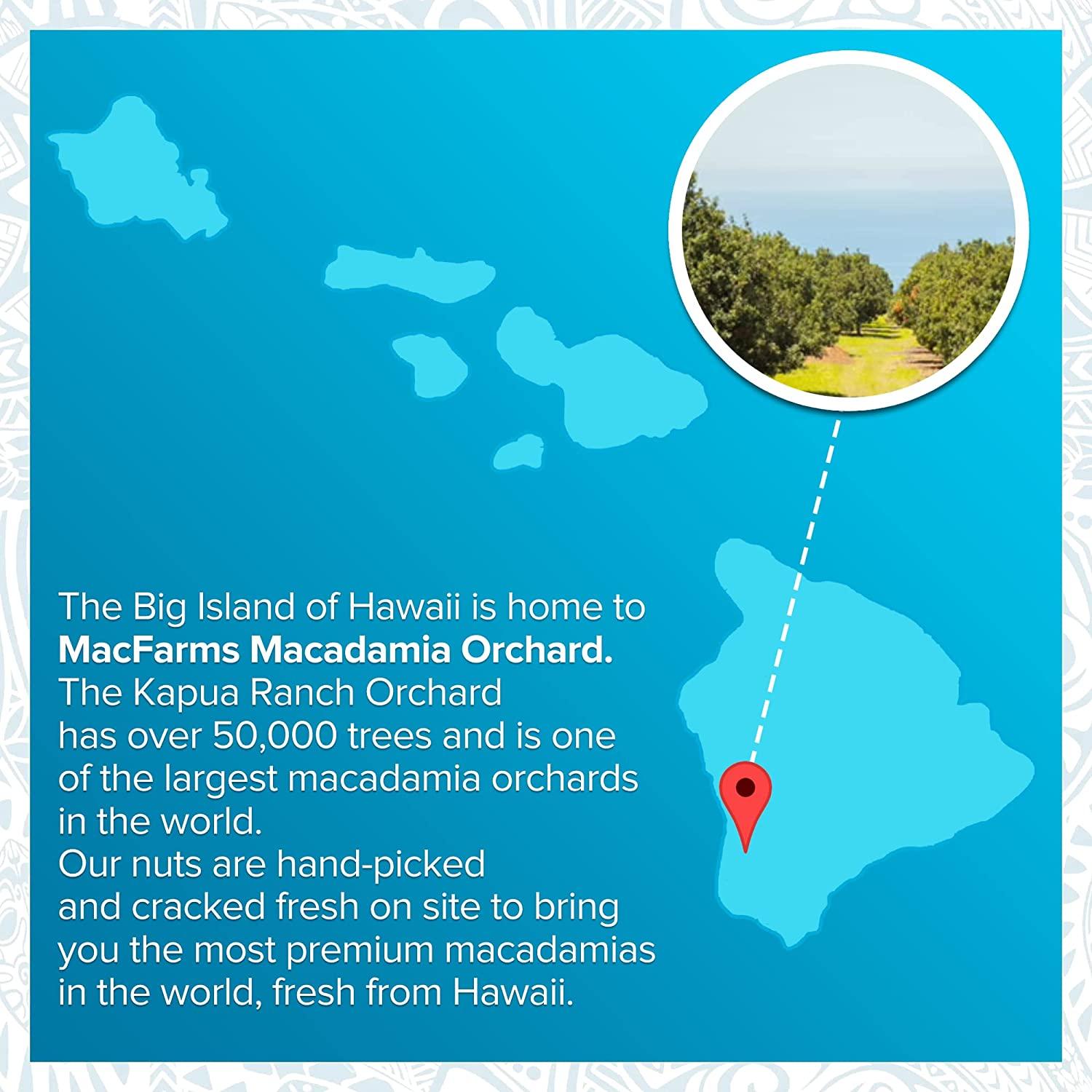 MacFarms Coconut Dark Chocolate Macadamia Nuts 10 oz (Pack of 1)