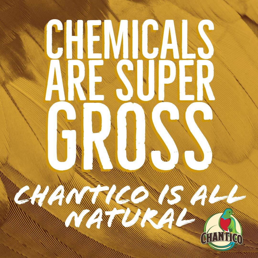 Chantico Agave Sweetener (Wild Agave, 3 Pack of 11.75oz Bottles