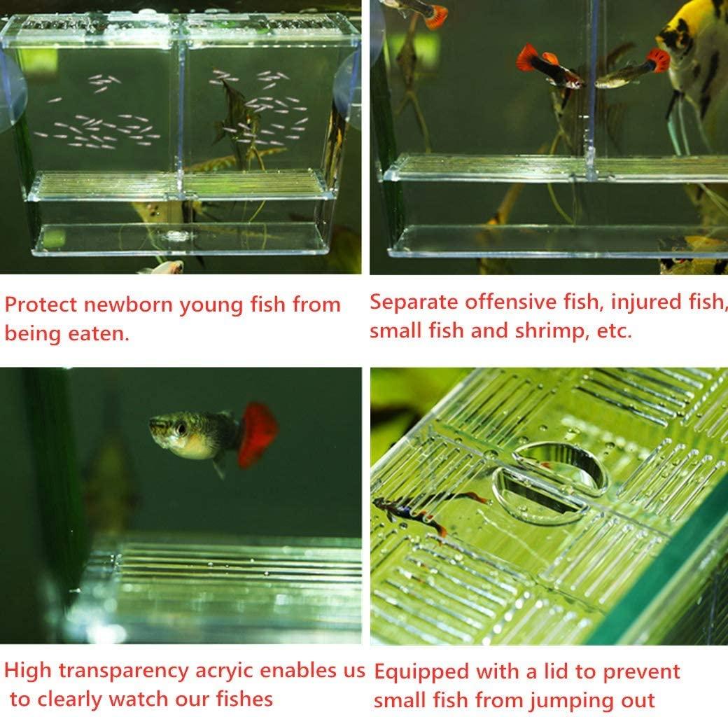 Aquarium Fish Tank Hatchery Breeder Box Breeding Tank, Baby Fish
