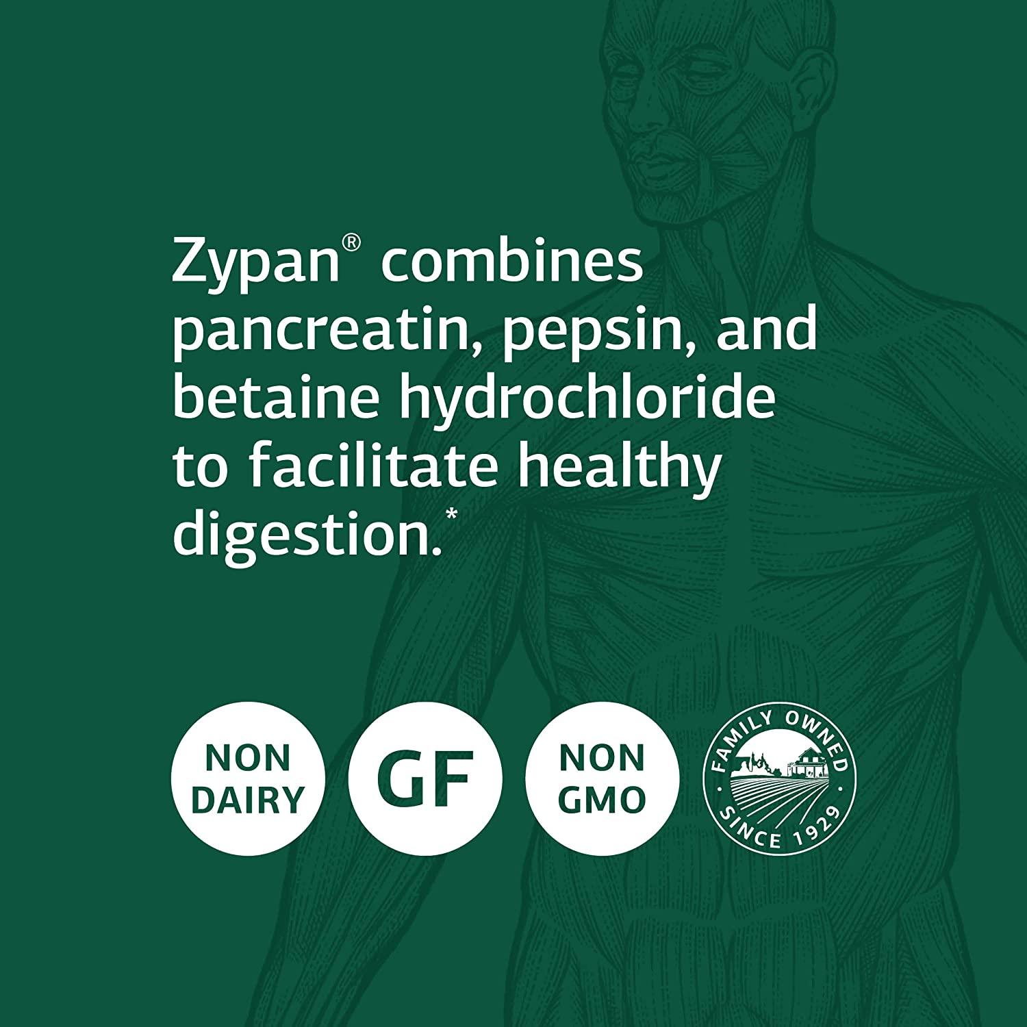 Standard Process Zypan Whole Food Digestion and Digestive Health with