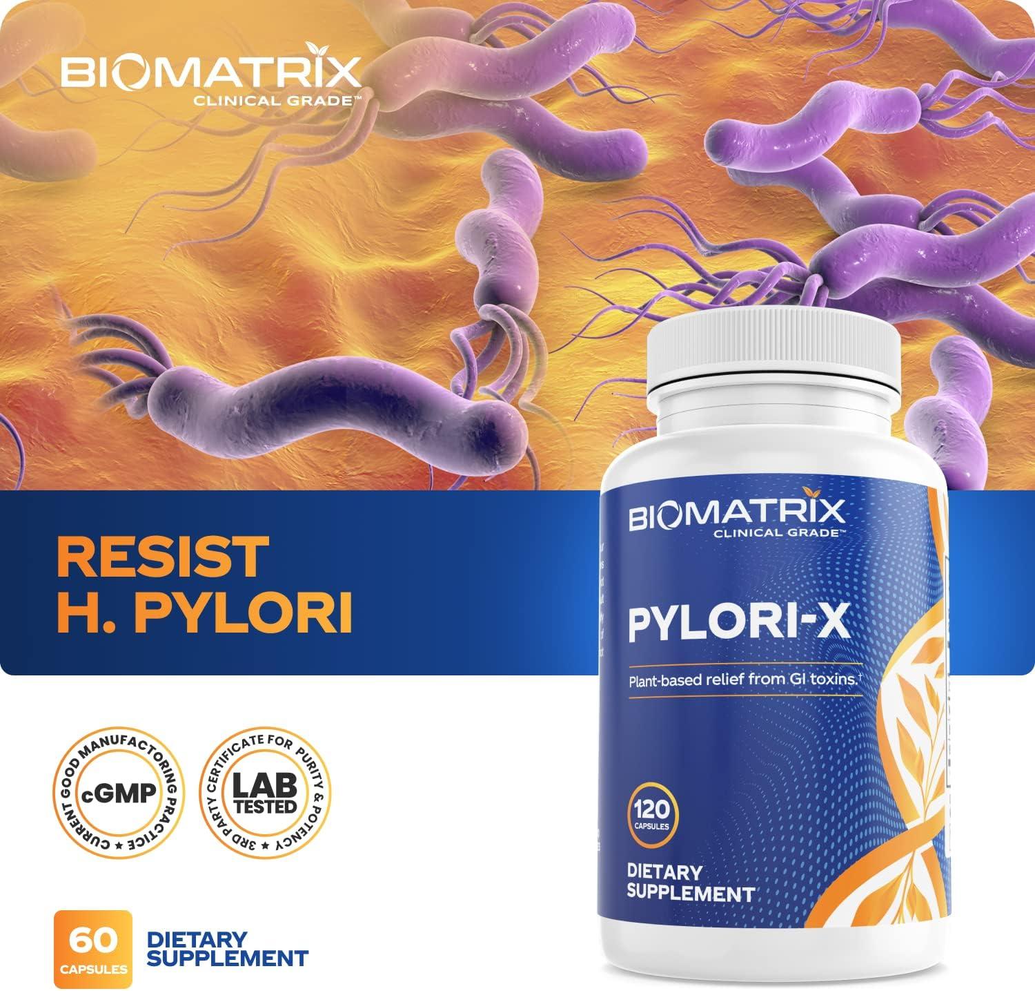 H. Pylori Defense Supplement PyloriX w/ Mastic Gum, Berberine, Zinc