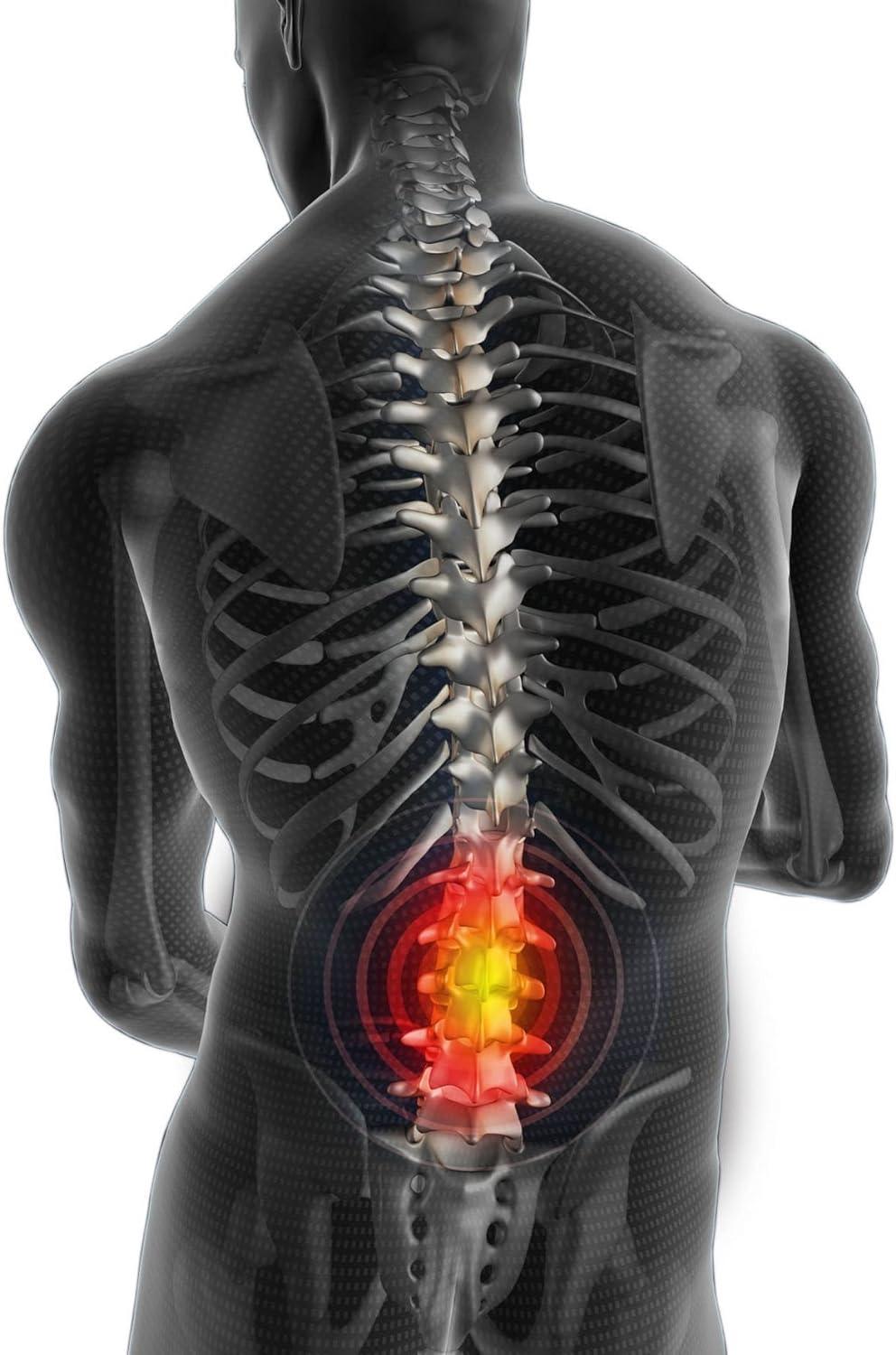 FitMad Adjustable Neoprene Double Pull Lumbar Support Lower Back Belt