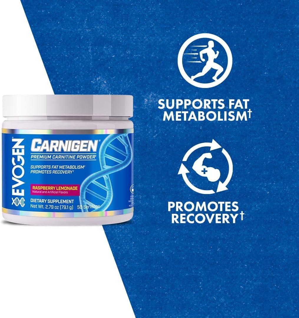 l carnitine orotate market Evogen Carnigen Fat Burning Powder with Carnitine Tartrate, Acetyl-l- carnitine, Orotate, Fumarate, and Bioperine - 50 Servings, Raspberry  Lemonade Flavor | Buy Now with Express International Delivery