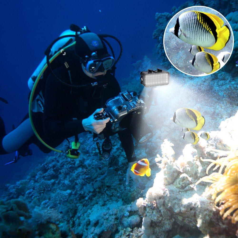 Accessorio Gopro Hero Suptig Luce A LED Con Doppia Batteria, Ad Alta Potenza, Impermeabile Suptig Led 300 Lumen