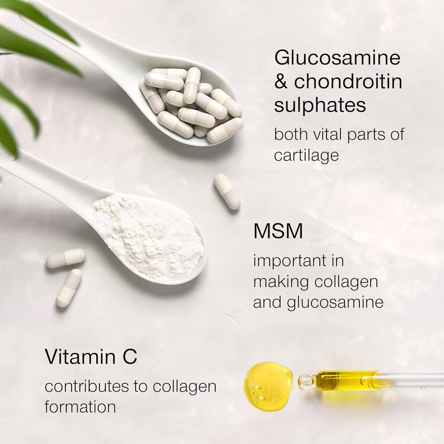Glucosamine and Chondroitin High Strength Glucosamine Sulphate with