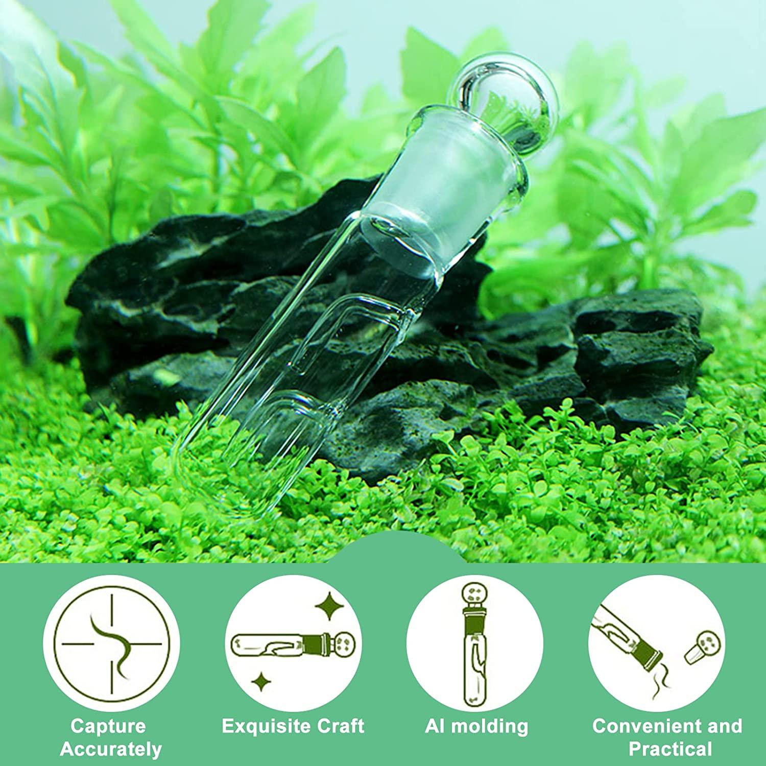 WEAVERBIRD Planaria Trap Catch Trap Leeches Catcher, Clear Glass Leech