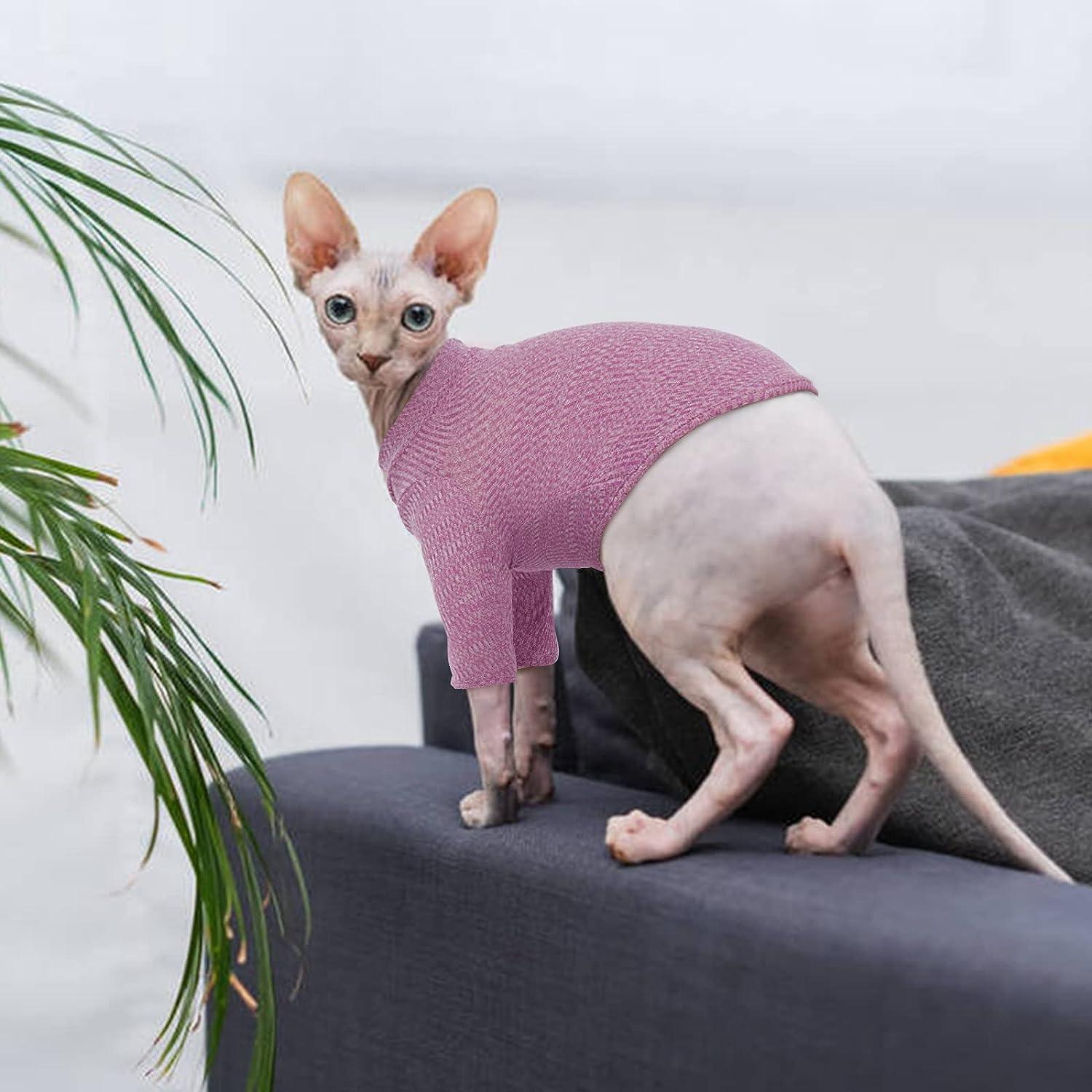 Adorable Sweater Sphynx Cat  Cat sweaters, Cat clothes, Cat costumes