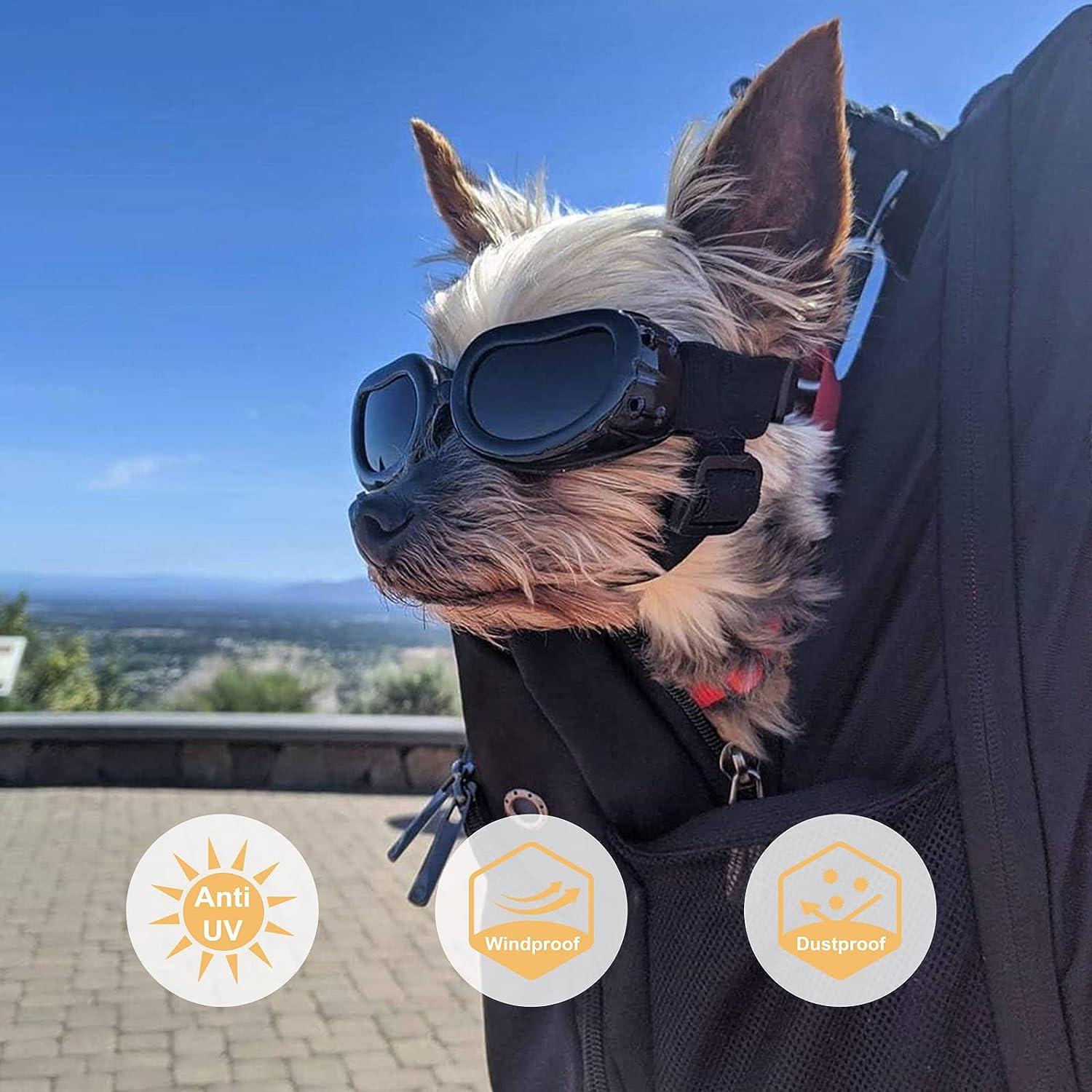 Lewondr Small Dog Sunglasses - UV Protection Goggles For Eye Wear, Adjustable Strap, Windproof Anti-Fog Doggy Glasses In Black | Buy Now With Express International Delivery