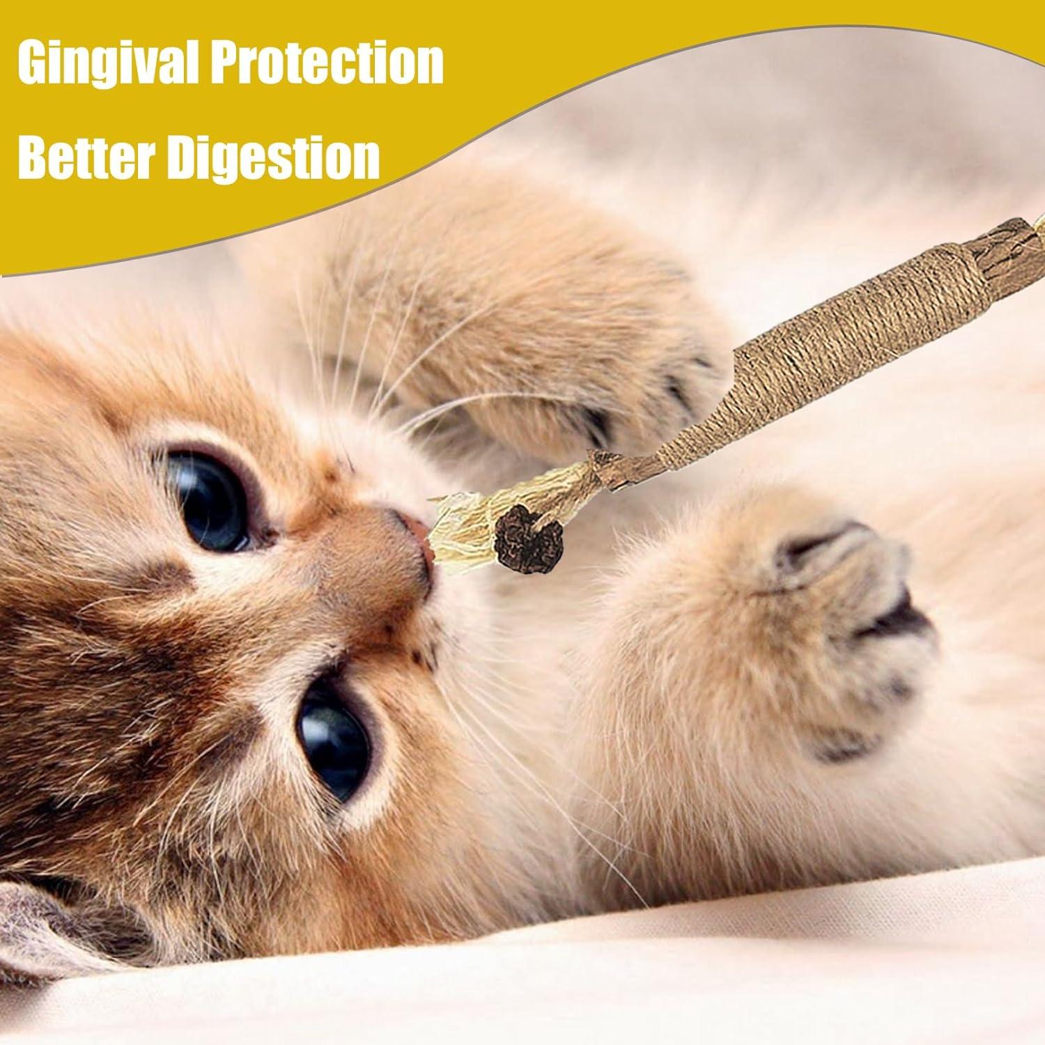 pcs Natural Silvervine Sticks Kitten Teething Toys Natural Cat