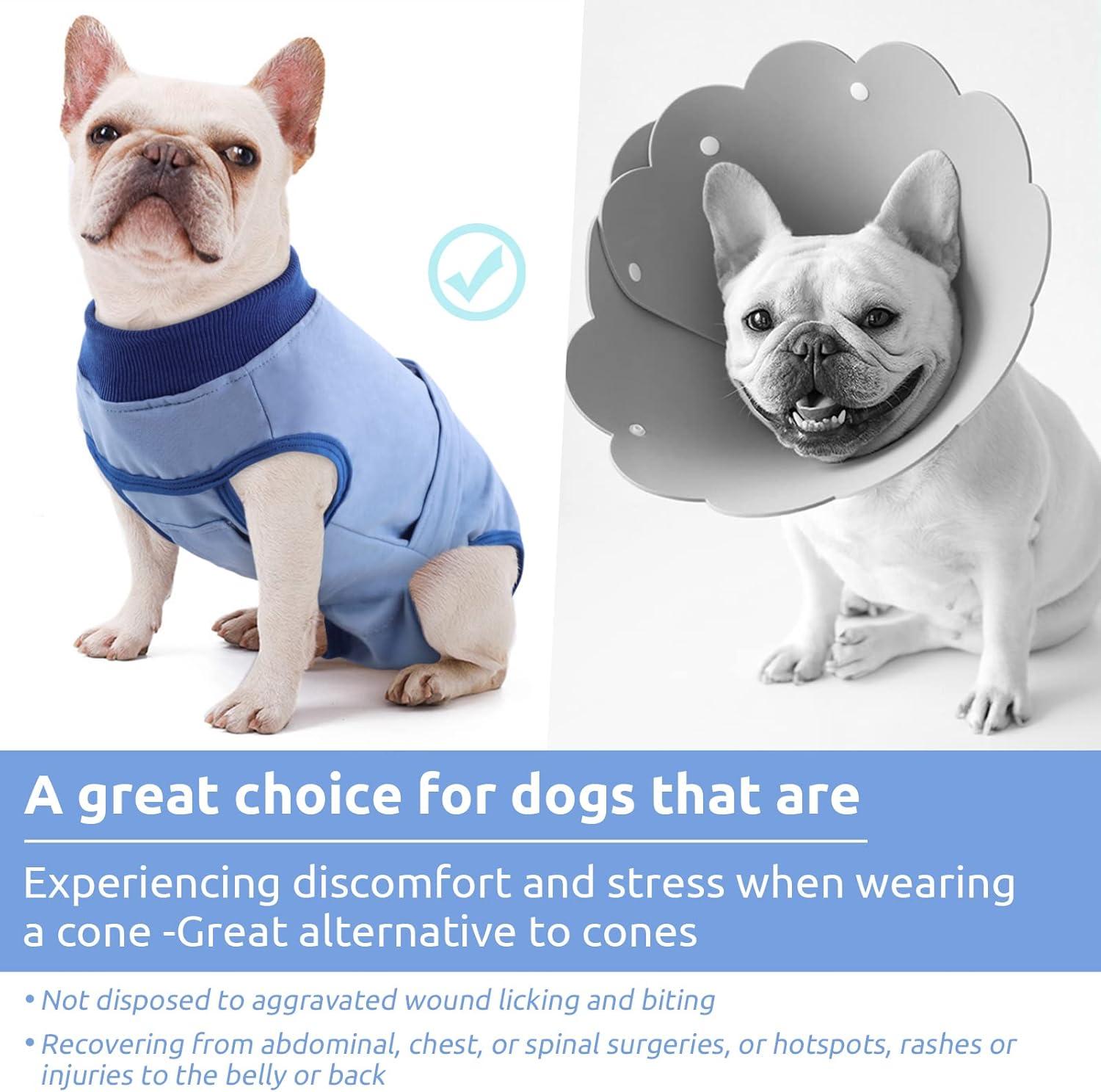 Best Dog Recovery Suit After Neutering: A Comprehensive Guide For Pet Owners - Active Gear Reviews