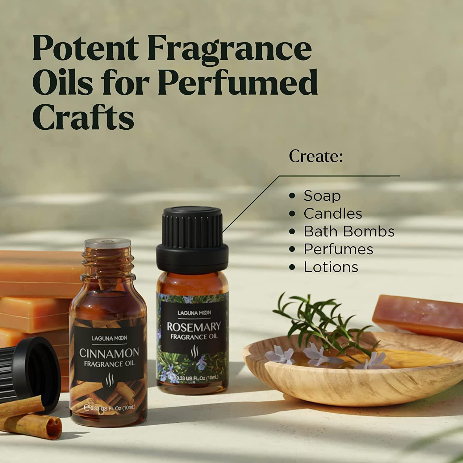  Fragrance Oil Set - Premium Grade 10 Pcs Scented Oils