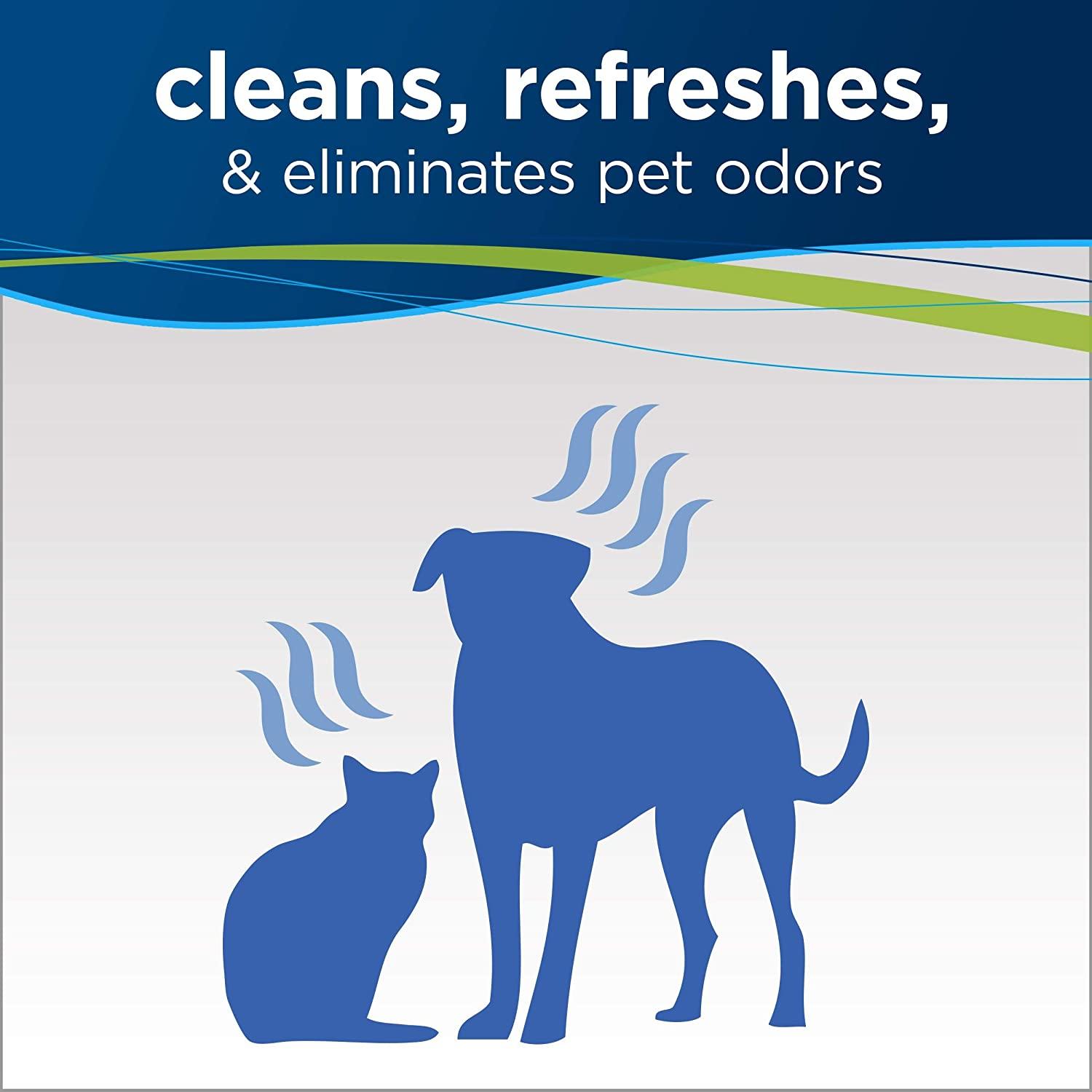 Bissell pro oxy stain destroyer pet new arrivals