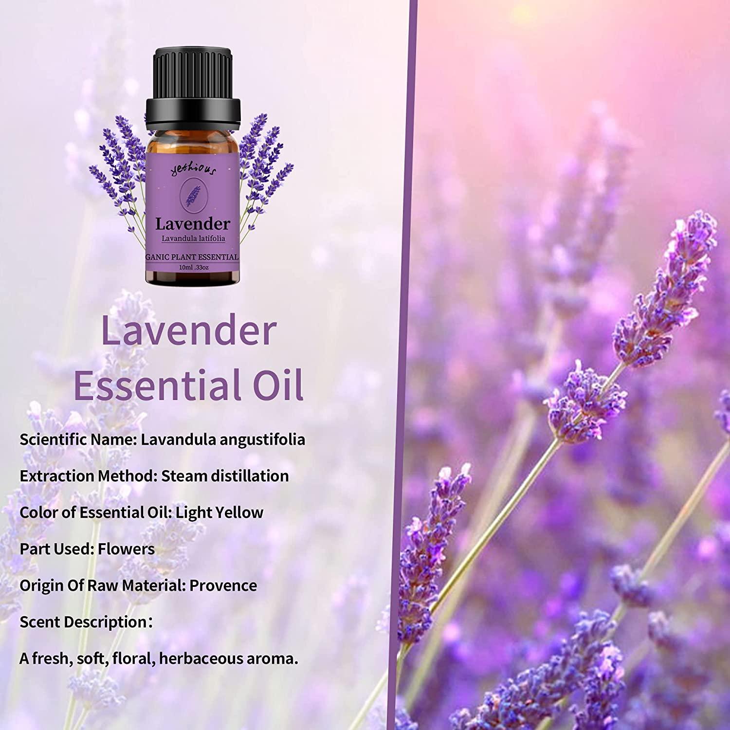 Yethious 4 Pack Essential Oil Set Lavender Jasmine Vanilla Eucalyptus