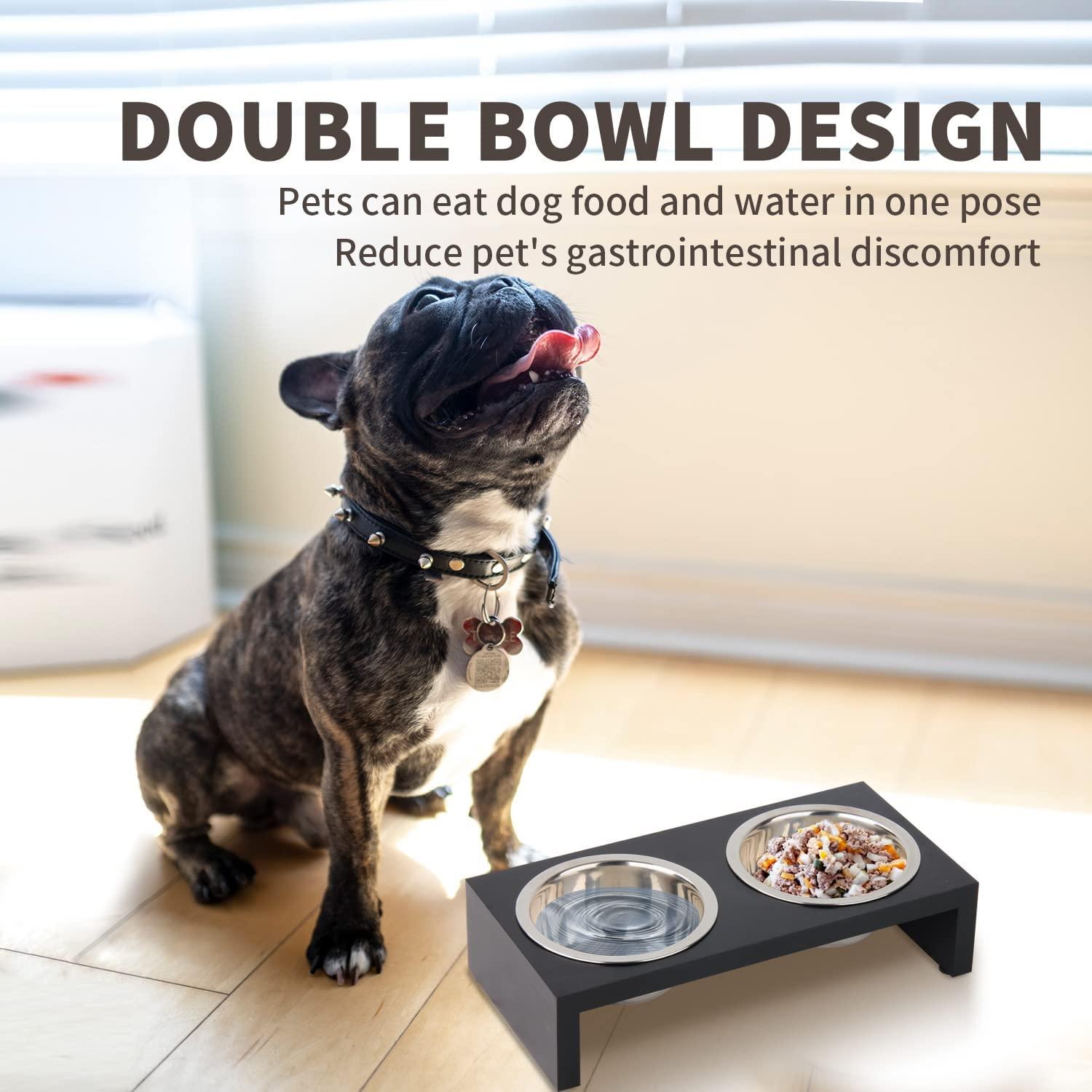 PAWISE Elevated Pet Feeder, Raised Dog Feeder Stainless Steel Bowl