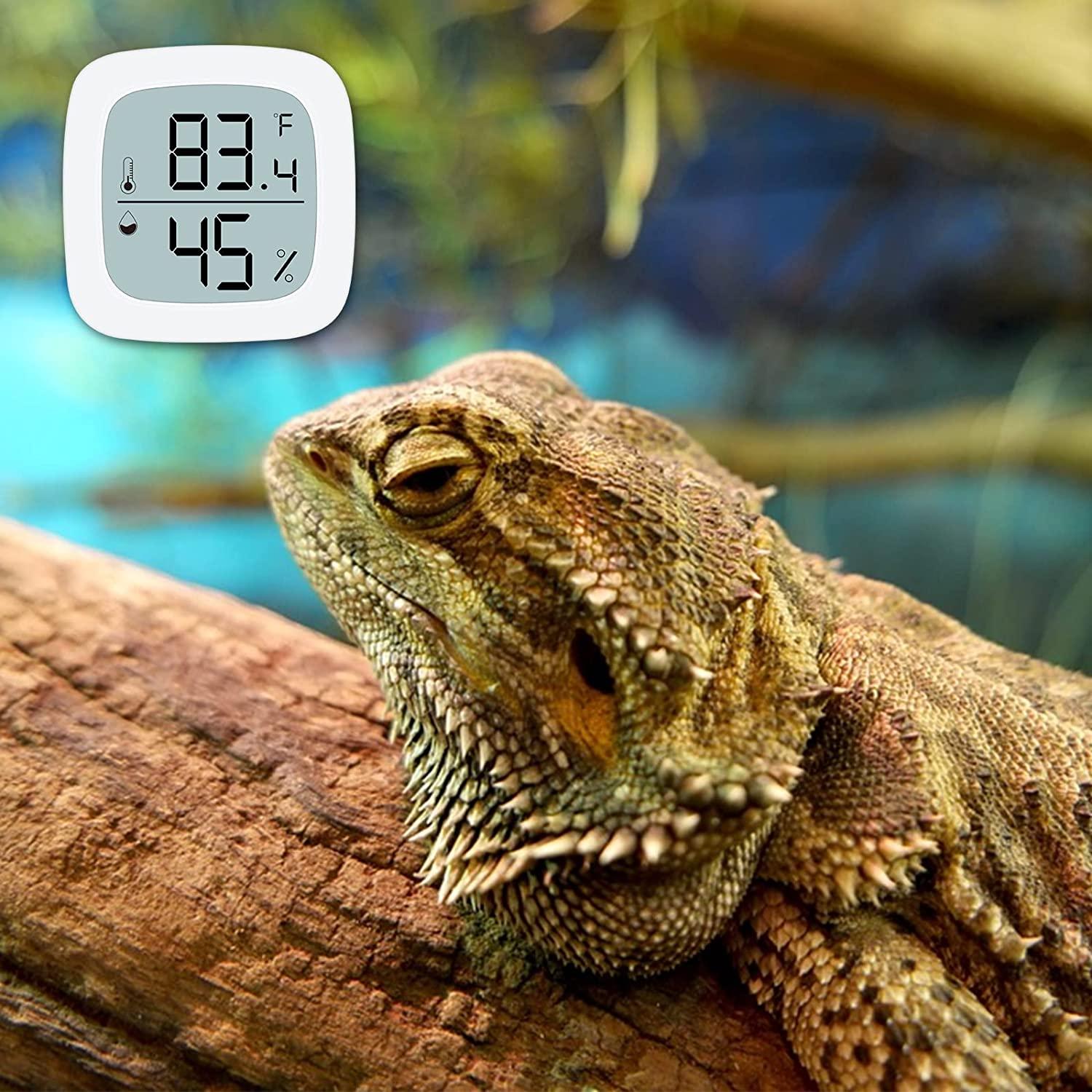The Best Infrared Temperature Gun for Reptile and Amphibian Terrariums